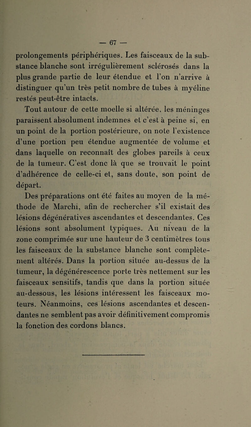 prolongements périphériques. Les faisceaux de la sub¬ stance blanche sont irrégulièrement sclérosés dans la plus grande partie de leur étendue et Ton n’arrive à distinguer qu’un très petit nombre de tubes à myéline restés peut-être intacts. Tout autour de cette moelle si altérée, les méninges paraissent absolument indemnes et c’est à peine si, en un point de la portion postérieure, on noie l’existence d’une portion peu étendue augmentée de volume et dans laquelle on reconnaît des globes pareils à ceux de la tumeur. C’est donc là que se trouvait le point d’adhérence de celle-ci et, sans doute, son point de Des préparations ont été faites au moyen de la mé¬ thode de Marchi, afin de rechercher s’il existait des lésions dégénératives ascendantes et descendantes. Ces lésions sont absolument typiques. Au niveau de la zone comprimée sur une hauteur de 3 centimètres tous les faisceaux de la substance blanche sont complète¬ ment altérés. Dans la portion située au-dessus de la tumeur, la dégénérescence porte très nettement sur les faisceaux sensitifs, tandis que dans la portion située au-dessous, les lésions intéressent les faisceaux mo¬ teurs. Néanmoins, ces lésions ascendantes et descen¬ dantes ne semblent pas avoir définitivement compromis la fonction des cordons blancs.