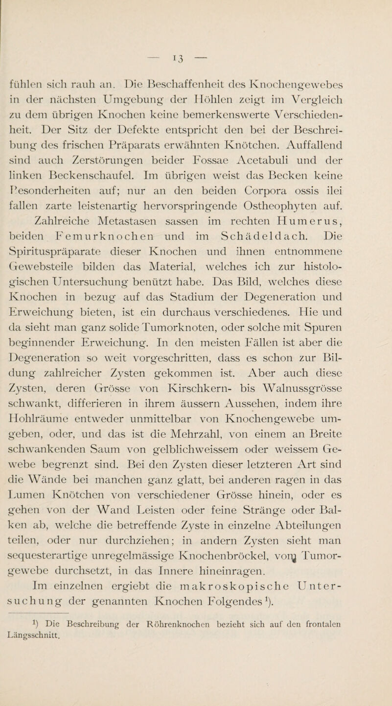 fühlen sich rauh an. Die Besclmffenheit des Knochengewebes in der nächsten Umgebung der Höhlen zeigt im Vergleich zu dem übrigen Knochen keine bemerkenswerte Verschieden¬ heit. Der Sitz der Defekte entspricht den bei der Beschrei¬ bung des frischen Präparats erwähnten Knötchen. Auffallend sind auch Zerstörungen beider Fossae Acetabuli und der linken Beckenschaufel. Im übrigen weist das Becken keine Pesonderheiten auf; nur an den beiden Corpora ossis ilei fallen zarte leistenartig hervorspringende Ostheophyten auf. Zahlreiche Metastasen sassen im rechten Humerus, beiden Femurknochen und im Schädeldach. Die Spirituspräparate dieser Knochen und ihnen entnommene (fewebsteile bilden das Material, welches ich zur histolo¬ gischen Untersuchung benützt habe. Das Bild, welches diese Knochen in bezug auf das Stadium der Degeneration und Erweichung bieten, ist ein durchaus verschiedenes. Hie und da sieht man ganz solide Tumorknoten, oder solche mit Spuren beginnender Erweichung. In den meisten Fällen ist aber die Degeneration so weit vorgeschritten, dass es schon zur Bil¬ dung zahlreicher Z3^sten gekommen ist. Aber auch diese Z^'Sten, deren Grösse von Kirschkern- bis Walnussgrösse schwankt, differieren in ihrem äussern Aussehen, indem ihre Hohlräume entweder unmittelbar von Knochengewebe um¬ geben, oder, und das ist die Mehrzahl, von einem an Breite schwankenden Saum von gelblichweissem oder weissem Ge¬ webe begrenzt sind. Bei den Z^^sten dieser letzteren Art sind die Wände bei manchen ganz glatt, bei anderen ragen in das Lumen Knötchen von verschiedener Grösse hinein, oder es gehen von der Wand Leisten oder feine Stränge oder Bal¬ ken ab, welche die betreffende Zyste in einzelne Abteilungen teilen, oder nur durchziehen; in andern Zysten sieht man sequesterartige unregelmässige Knochenbröckel, voi'ij Tumor¬ gewebe durchsetzt, in das Innere hineinragen. Im einzelnen ergiebt die makroskopische Unter¬ suchung der genannten Knochen Folgendes ^). 1) Die Besdireibung der Röhrenknochen bezieht sich auf den frontalen Längsschnitt.