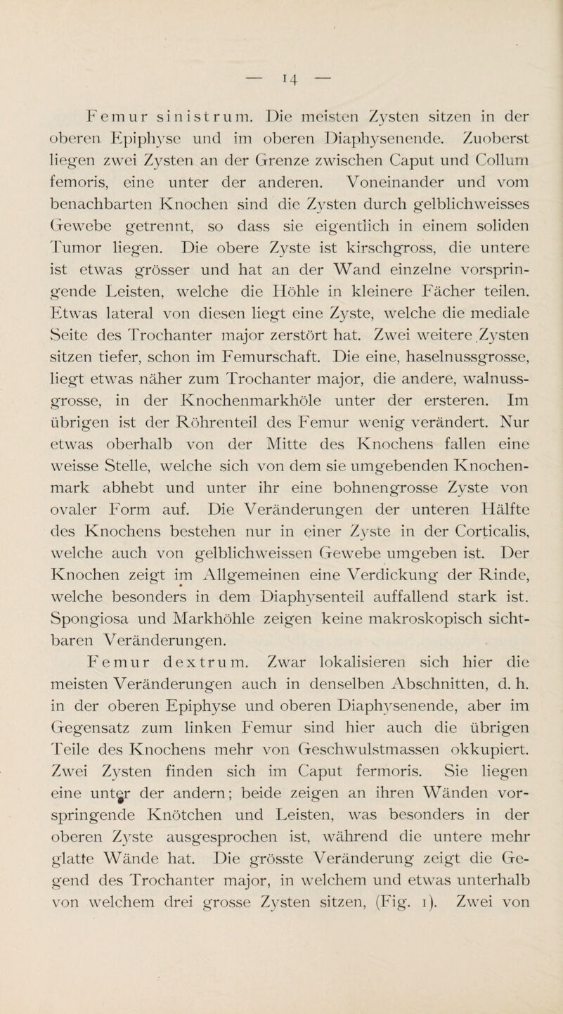 Femur sin ist rum. Die meisten Z3^sten sitzen in der oberen Epiphyse und im oberen Diaphysenende. Zuoberst liegen zwei Zysten an der Grenze zwischen Caput und Collum femoris, eine unter der anderen. Voneinander und vom benachbarten Knochen sind die Z^^sten durch gelblichweisses Gewebe getrennt, so dass sie eigentlich in einem soliden Tumor liegen. Die obere Zyste ist kirschgross, die untere ist etwas grösser und hat an der Wand einzelne vorsprin¬ gende Leisten, welche die Höhle in kleinere Fächer teilen. Etwas lateral von diesen liegt eine Zyste, welche die mediale Seite des Trochanter major zerstört hat. Zwei weitere ,Zysten sitzen tiefer, schon im Femurschaft. Die eine, haselnussgrosse, liegt etwas näher zum Trochanter major, die andere, walnuss¬ grosse, in der Knochenmarkhöle unter der ersteren. Im übrigen ist der Röhrenteil des Femur wenig verändert. Nur etwas oberhalb von der Mitte des Knochens fallen eine weisse Stelle, welche sich von dem sie umgebenden Knochen¬ mark abhebt und unter ihr eine bohnengrosse Zyste von ovaler Form auf. Die Veränderungen der unteren Hälfte des Knochens bestehen nur in einer Zysie in der Corticalis, welche auch von gelblichweissen Gewebe umgeben ist. Der Knochen zeigt im Allgemeinen eine Verdickung der Rinde, welche besonders in dem Diaph3^senteil auffallend stark ist. Spongiosa und Markhöhle zeigen keine makroskopisch sicht¬ baren Veränderungen. Femur dextrum. Zwar lokalisieren sich hier die meisten Veränderungen auch in denselben Abschnitten, d. h. in der oberen Epiphyse und oberen Diaph3^senende, aber im Gegensatz zum linken Femur sind hier auch die übrigen Teile des Knochens mehr von Geschwulstmassen okkupiert. Zwei Zysten finden sich im Caput fermoris. Sie liegen eine unt^r der andern; beide zeigen an ihren Wänden vor¬ springende Knötchen und Leisten, was besonders in der oberen Z3^ste ausgesprochen ist, während die untere mehr glatte Wände hat. Die grösste Veränderung zeigt die Ge¬ gend des Trochanter major, in welchem und etwas unterhalb von welchem drei grosse Z3^sten sitzen, (Fig. i). Zwei von