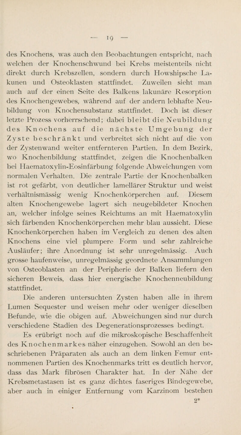 des Knochens, was auch den Beobachtungen entspricht, nach welchen der Knochenschwund bei Krebs meistenteils nicht direkt durch Krebszellen, sondern durch Howshipsche La- kunen und Osteoklasten stattfindet. Zuweilen sieht man auch auf der einen Seite des I^alkens lakunäre Resorption des Knochengewebes, während auf der andern lebhafte Neu¬ bildung von Knochensubstanz stattfindet. Doch ist dieser letzte Prozess vorherrschend; dabei bleibt die Neubildung des Knochens auf die nächste Umgebung der Zyste beschränkt und verbreitet sich nicht auf die von der Zystenwand weiter entfernteren Partien. In dem Bezirk, wo Knochenbildung stattfindet, zeigen die Knochenbalken bei Ilaematoxylin-Eosinfärbung folgende Abweichungen vom normalen Verhalten. Die zentrale Partie der Knochenbalken ist rot gefärbt, von deutlicher lamellärer Struktur und weist verhältnismässig wenig Knochenkörperchen auf. Diesem alten Knochengewebe lagert sich neugebildeter Knochen an, welcher infolge seines Reichtums an mit Haematoxylin sich färbenden Knochenkörperchen mehr blau aussieht. Diese Knochenkörperchen haben im Vergleich zu denen des alten Knochens eine viel plumpere Form und sehr zahlreiche Ausläufer; ihre Anordnung ist sehr unregelmässig. Auch grosse haufenweise, unregelmässig g'eordnete Ansammlungen von Osteoblasten an der Peripherie der Balken liefern den sicheren Beweis, dass hier energische Knochenneubildung stattfindet. Die anderen untersuchten Zysten haben alle in ihrem Lumen Sequester und weisen mehr oder weniger dieselben Befunde, wie die obigen auf. Abweichungen sind nur durch verschiedene Stadien des Degenerationsprozesses bedingt. Es erübrigt noch auf die mikroskopische Beschaffenheit des Knochenmarkes näher einzugehen. Sowohl an den be¬ schriebenen Präparaten als auch an dem linken PVmur ent¬ nommenen Partien des Knochenmarks tritt es deutlich hervor, dass das Mark fibrösen Charakter hat. In der Nähe der Krebsmetastasen ist es ganz dichtes faseriges Bindegewebe, aber auch in einiger Entfernung vom Karzinom bestehen 2*