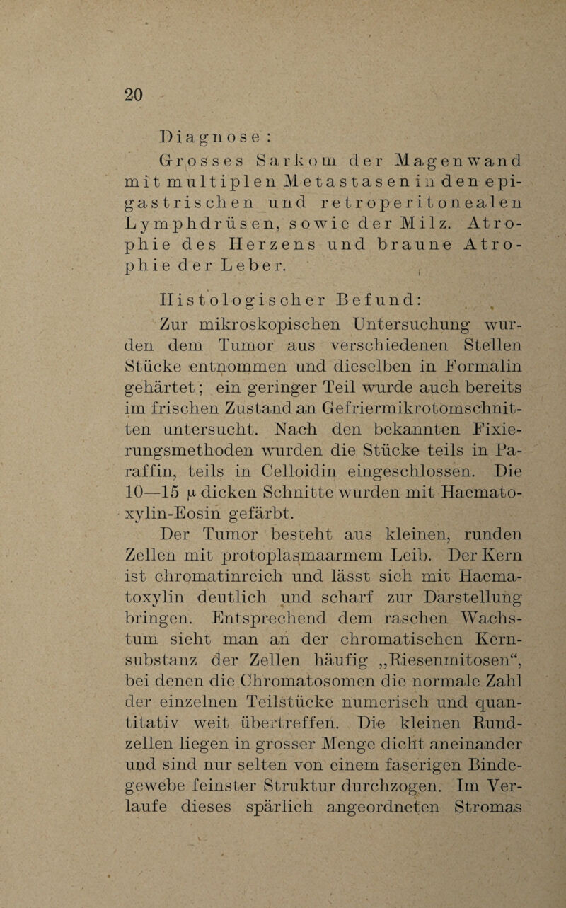 Diagnose: Grosses Sarkom der Magenwand mit multiplen Metastasen in den epi- gastrischen und retroperitonealen Lymphdrüsen, sowie der Milz. Atro¬ phie des Herzens und braune Atro¬ phie der Leber. Histologischer Befund: Zur mikroskopischen Untersuchung wur¬ den dem Tumor aus verschiedenen Stellen Stücke entnommen und dieselben in Formalin gehärtet; ein geringer Teil wurde auch bereits im frischen Zustand an Gefriermikrotomschnit¬ ten untersucht. Nach den bekannten Fixie¬ rungsmethoden wurden die Stücke teils in Pa¬ raffin, teils in Celloidin eingeschlossen. Die 10—15 jli dicken Schnitte wurden mit Haemato- xylin-Eosin gefärbt. Der Tumor besteht aus kleinen, runden Zellen mit protoplasmaarmem Leib. Der Kern ist chromatinreich und lässt sich mit Haema- toxylin deutlich und scharf zur Darstellung bringen. Entsprechend dem raschen Wachs¬ tum sieht man an der chromatischen Kern¬ substanz der Zellen häufig ,,Riesenmitosen“, bei denen die Chromatosomen die normale Zahl de]- einzelnen Teilstücke numerisch und quan¬ titativ weit übertreffen. Die kleinen Rund¬ zellen liegen in grosser Menge dicht aneinander und sind nur selten von einem faserigen Binde¬ gewebe feinster Struktur durchzogen. Im Ver¬ laufe dieses spärlich angeordneten Stromas