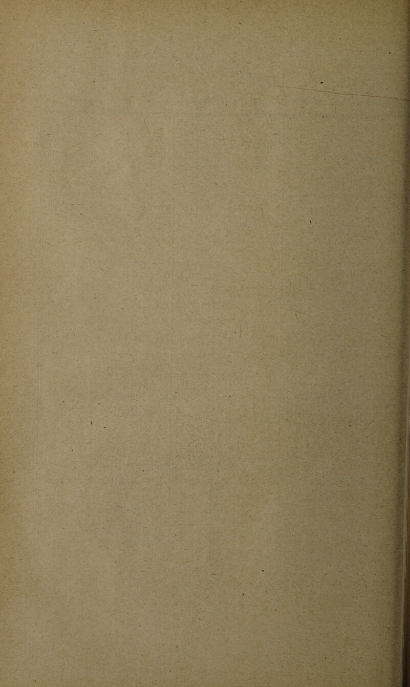 ? .v,v. ' . : v Vv _ •w / > y{ i y~ 4 * * -:jr '.i?. -, > / . ! ■y Ÿ: ! i ' ■ r V?’ _• ■. : • - • - r v-, • V --«■ > :>f \ A ) V -V • f Y\ ■ ~ ; ^ f