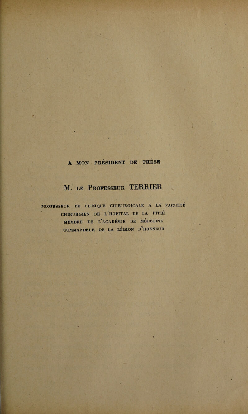 À MON PRÉSIDENT DE THESE M. le Professeur TERRIER PROFESSEUR DE CLINIQUE CHIRURGICALE A LA FACULTE CHIRURGIEN DE l’hOPITAL DE LA PITIE MEMBRE DE L’ACADEMIE DE MEDECINE COMMANDEUR DE LA LEGION D’HONNEUR
