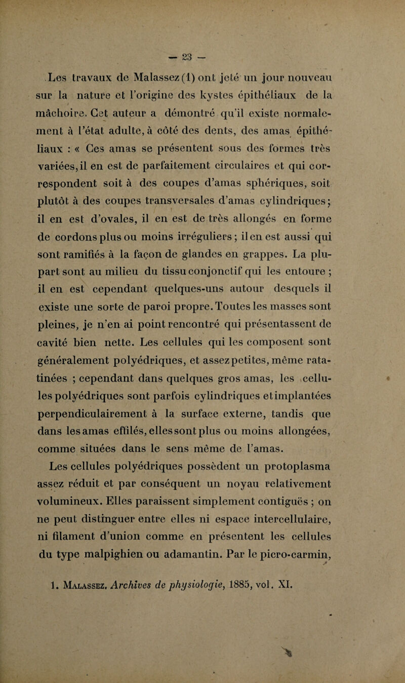 Les travaux de Malassez(l) ont jeté un jour nouveau sur la nature et l’origine des kystes épithéliaux de la mâchoire. Cet auteur a démontré qu’il existe normale¬ ment à Tétât adulte, à côté des dents, des amas épithé¬ liaux : « Ces amas se présentent sous des formes très variées, il en est de parfaitement circulaires et qui cor¬ respondent soit à des coupes d’amas sphériques, soit plutôt à des coupes transversales d’amas cylindriques; il en est d’ovales, il en est de très allongés en forme de cordons plus ou moins irréguliers; il en est aussi qui sont ramifiés à la façon de glandes en grappes. La plu¬ part sont au milieu du tissu conjonctif qui les entoure ; il en est cependant quelques-uns autour desquels il existe une sorte de paroi propre. Toutes les niasses sont pleines, je n’en ai point rencontré qui présentassent de cavité bien nette. Les cellules qui les composent sont généralement polyédriques, et assez petites, même rata¬ tinées ; cependant dans quelques gros amas, les cellu¬ les polyédriques sont parfois cylindriques etimplantées perpendiculairement à la surface externe, tandis que dans les amas effilés, elles sont plus ou moins allongées, comme situées dans le sens même de l’amas. Les cellules polyédriques possèdent un protoplasma assez réduit et par conséquent un noyau relativement volumineux. Elles paraissent simplement contiguës ; on ne peut distinguer entre elles ni espace intercellulaire, ni filament d’union comme en présentent les cellules du type malpighien ou adamantin. Par le picro-carmin, * 1. Malassez. Archives de physiologie, 1885, vol. XI.