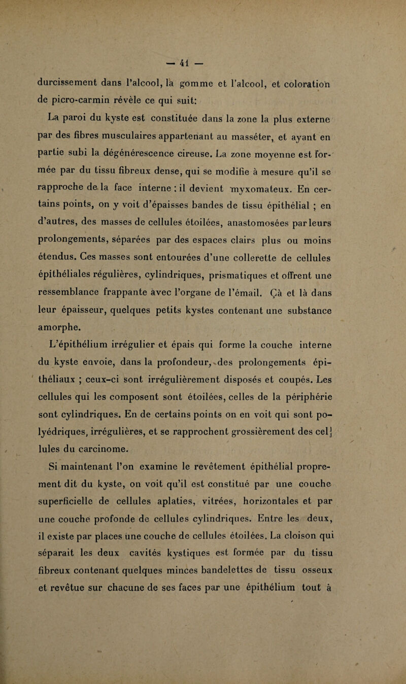 durcissement dans l’alcool, la gomme et l’alcool, et coloration » de picro-carmin révèle ce qui suit: La paroi du kyste est constituée dans la zone la plus externe par des fibres musculaires appartenant au masséter, et ayant en partie subi la dégénérescence cireuse. La zone moyenne est for¬ mée par du tissu fibreux dense, qui se modifie à mesure qu’il se rapproche de la face interne : il devient myxomateux. En cer¬ tains points, on y voit d’épaisses bandes de tissu épithélial ; en d’autres, des masses de cellules étoilées, anastomosées parleurs prolongements, séparées par des espaces clairs plus ou moins étendus. Ces masses sont entourées d’une collerette de cellules épithéliales régulières, cylindriques, prismatiques et offrent une ressemblance frappante avec l’organe de l’émail. Çà et là dans leur épaisseur, quelques petits kystes contenant une substance amorphe. L’épithélium irrégulier et épais qui forme la couche interne du kyste envoie, dans la profondeur, des prolongements épi¬ théliaux ; ceux-ci sont irrégulièrement disposés et coupés. Les cellules qui les composent sont étoilées, celles de la périphérie sont cylindriques. En de certains points on en voit qui sont po¬ lyédriques, irrégulières, et se rapprochent grossièrement des celj Iules du carcinome. Si maintenant l’on examine le revêtement épithélial propre¬ ment dit du kyste, on voit qu’il est constitué par une couche superficielle de cellules aplaties, vitrées, horizontales et par une couche profonde de cellules cylindriques. Entre les deux, il existe par places une couche de cellules étoilées. La cloison qui séparait les deux cavités kystiques est formée par du tissu fibreux contenant quelques minces bandelettes de tissu osseux et revêtue sur chacune de ses faces par une épithélium tout à
