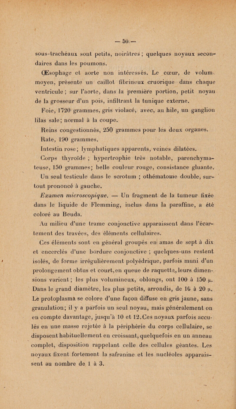 I — 50,— sous-trachéaux sont petits, noirâtres ; quelques noyaux secon¬ daires dans les poumons. Œsophage et aorte non intéressés. Le cœur, de volum. moyen, présente un caillot fibrineux cruorique dans chaque ventricule ; sur l’aorte, dans la première portion, petit noyau de la grosseur d’un pois, infiltrant la tunique externe. Foie, 1720 grammes, gris violacé, avec, au hile, un ganglion lilas sale; normal à la coupe. Reins congestionnés, 250 grammes pour les deux organes. Rate, 190 grammes. Intestin rose ; lymphatiques apparents, veines dilatées. Corps thyroïde ; hypertrophie très notable, parenchyma¬ teuse, 150 grammes; belle couleur rouge, consistance gluante. Un seul testicule dans le scrotum ; othématome double, sur¬ tout prononcé à gauche. Examen microscopique. — Un fragment de la tumeur fixée dans le liquide de Flemming, inclus dans la paraffine, a été coloré au Beuda. Au milieu d’une trame conjonctive apparaissent dans l’écar¬ tement des travées, des éléments cellulaires. Ces éléments sont en général groupés en amas de sept à dix et encerclés d’une bordure conjonctive ; quelques-uns restent isolés, de forme irrégulièrement polyédrique, parfois muni d’un prolongement obtus et court, en queue de raquette., leurs dimen¬ sions varient ; les plus volumineux, oblongs, ont 100 à 150 [x. Dans le grand diamètre, les plus petits, arrondis, de 10 à 20 y. Le protoplasma se colore d’une façon diffuse en gris jaune, sans granulation; il y a parfois un seul noyau, mais généralement on en compte davantage, jusqu’à 10 et 12.Ces noyaux parfois accu¬ lés en une masse rejetée à la périphérie du corps cellulaire, se disposent habituellement en croissant, quelquefois en un anneau complet, disposition rappelant celle des cellules géantes. Les noyaux fixent fortement la safranine et les nucléoles apparais¬ sent au nombre de 1 à 3.