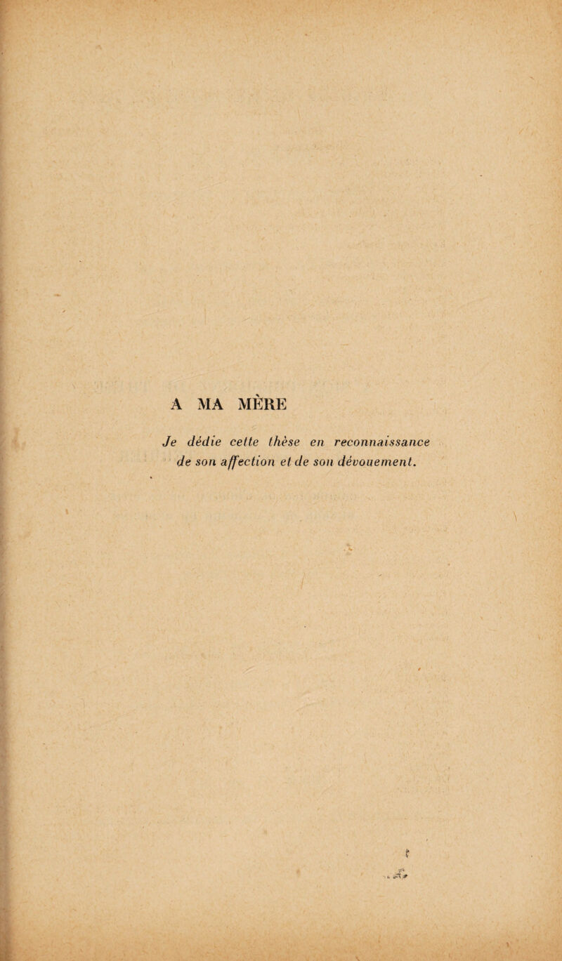A MA MERE Je dédie cette thèse en reconnaissance de son affection et de son dévouement. \ . •* / ' ' ' / ? •*. t *