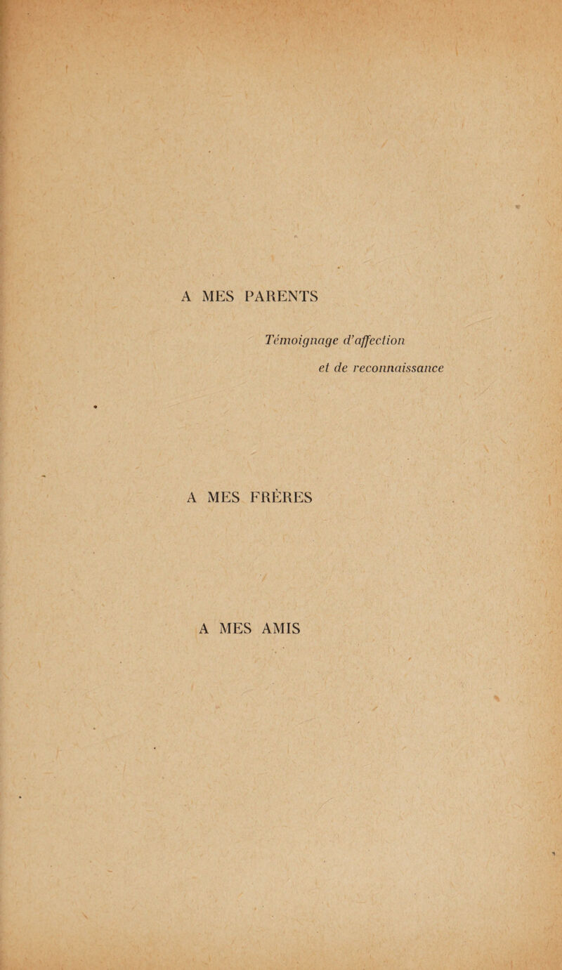 A MES PARENTS Témoignage d’affection et de reconnaissance A MES FRÈRES MES AMIS *, * V ’ ' \ . > A