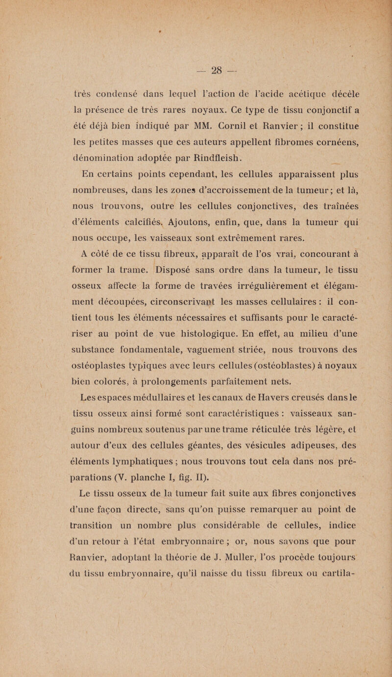 très condensé dans lequel l’action de l’acide acétique décèle la présence de très rares noyaux. Ce type de tissu conjonctif a été déjà bien indiqué par MM. Cornil et Ranvier ; il constitue les petites masses que ces auteurs appellent fibromes cornéens, dénomination adoptée par Rindfleish. En certains points cependant, les cellules apparaissent plus nombreuses, dans les zones d’accroissement de la tumeur ; et là, nous trouvons, outre les cellules conjonctives, des traînées d’éléments calcifiés. Ajoutons, enfin, que, dans la tumeur qui nous occupe, les vaisseaux sont extrêmement rares. A côté de ce tissu fibreux, apparaît de l’os vrai, concourant à former la trame. Disposé sans ordre dans la tumeur, le tissu osseux affecte la forme de travées irrégulièrement et élégam¬ ment découpées, circonscrivant les masses cellulaires : il con¬ tient tous les éléments nécessaires et suffisants pour le caracté¬ riser au point de vue histologique. En effet, au milieu d’une substance fondamentale, vaguement striée, nous trouvons des ostéoplastes typiques avec leurs cellules (ostéoblastes) à noyaux bien colorés, à prolongements parfaitement nets. Les espaces médullaires et les canaux de Havers creusés dans le tissu osseux ainsi formé sont caractéristiques : vaisseaux san¬ guins nombreux soutenus par une trame réticulée très légère, et autour d’eux des cellules géantes, des vésicules adipeuses, des éléments lymphatiques ; nous trouvons tout cela dans nos pré¬ parations (Y. planche I, fig. II). Le tissu osseux de la tumeur fait suite aux fibres conjonctives d’une façon directe, sans qu’on puisse remarquer au point de transition un nombre plus considérable de cellules, indice d’un retour à l’état embryonnaire ; or, nous savons que pour Ranvier, adoptant la théorie de J. Muller, l’os procède toujours du tissu embryonnaire, qu’il naisse du tissu fibreux ou cartila-