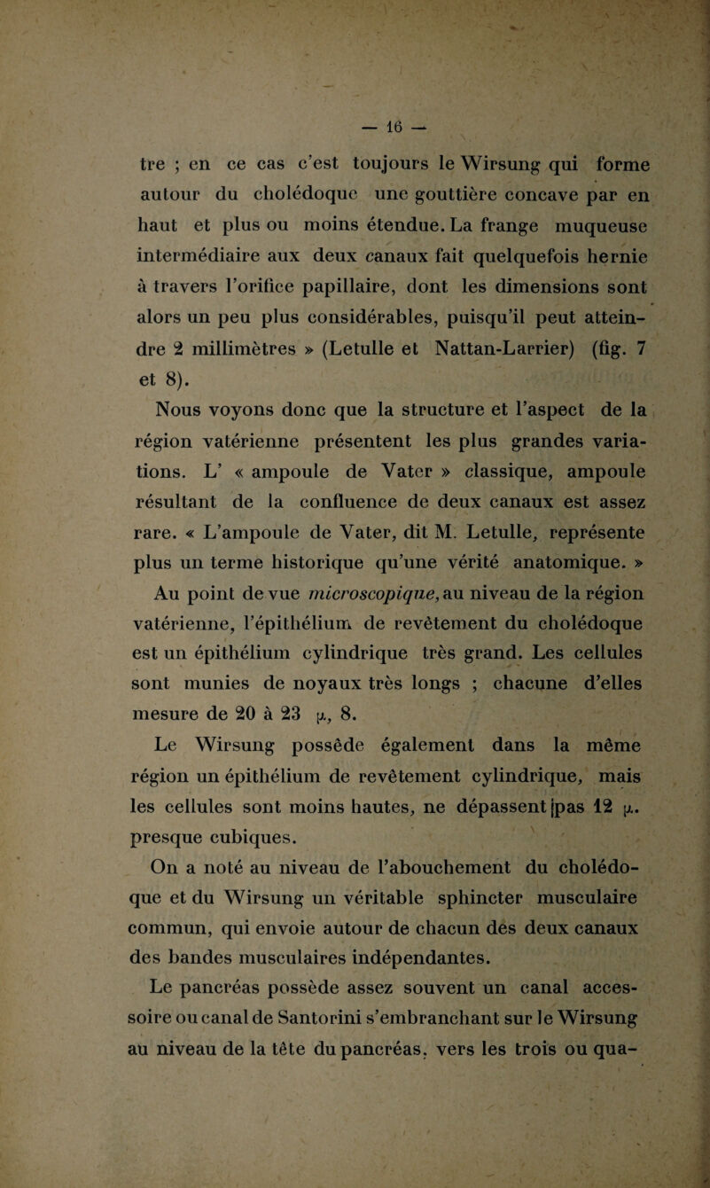 tre ; en ce cas c’est toujours le Wirsung qui forme autour du cholédoque une gouttière concave par en haut et plus ou moins étendue. La frange muqueuse intermédiaire aux deux canaux fait quelquefois hernie à travers l’orifice papillaire, dont les dimensions sont alors un peu plus considérables, puisqu’il peut attein¬ dre 2 millimètres » (Letulle et Nattan-Larrier) (ûg. 7 et 8). Nous voyons donc que la structure et l’aspect de la région vatérienne présentent les plus grandes varia¬ tions. L’ « ampoule de Yater » classique, ampoule résultant de la confluence de deux canaux est assez rare. « L’ampoule de Vater, dit M. Letulle, représente plus un terme historique qu’une vérité anatomique. » Au point de vue microscopique, au niveau de la région vatérienne, l’épithélium de revêtement du cholédoque est un épithélium cylindrique très grand. Les cellules sont munies de noyaux très longs ; chacune d’elles mesure de 20 à 23 p, 8. t . Le Wirsung possède également dans la même région un épithélium de revêtement cylindrique, mais les cellules sont moins hautes, ne dépassent jpas 12 pu presque cubiques. On a noté au niveau de l'abouchement du cholédo¬ que et du Wirsung un véritable sphincter musculaire commun, qui envoie autour de chacun des deux canaux des bandes musculaires indépendantes. Le pancréas possède assez souvent un canal acces¬ soire ou canal de Santorini s’embranchant sur le Wirsung au niveau de la tête du pancréas, vers les trois ou qua-
