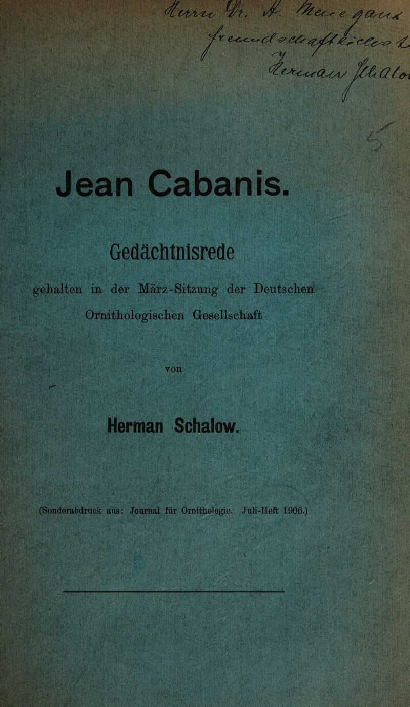 gehalten in der März - Sitzung der Deutschen Ornithologischen Gesellschaft §jl Herman Schalow. (Sonderabdruck aus: Journal für Ornithologie, Juli-Heft 1906.)