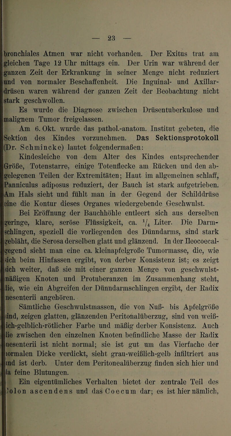 monchiales Atmen war nicht vorhanden. Der Exitus trat am gleichen Tage 12 Uhr mittags ein. Der Urin war während der ganzen Zeit der Erkrankung in seiner Menge nicht reduziert und von normaler Beschaffenheit. Die Inguinal- und Axillar¬ drüsen waren während der ganzen Zeit der Beobachtung nicht stark geschwollen. Es wurde die Diagnose zwischen Drüsentuberkulose und malignem Tumor freigelassen. Am 6. Okt. wurde das pathol.-anatom. Institut gebeten, die Sektion des Kindes vorzunehmen. Das Sektionsprotokoll (Dr. Schmincke) lautet folgendermaßen: Kindesleiche von dem Alter des Kindes entsprechender Größe, Totenstarre, einige Totenflecke am Kücken und den ab¬ gelegenen Teilen der Extremitäten; Haut im allgemeinen schlaff, Panniculus adiposus reduziert, der Bauch ist stark aufgetrieben. Am Hals sieht und fühlt man in der Gegend der Schilddrüse eine die Kontur dieses Organes wiedergebende Geschwulst. Bei Eröffnung der Bauchhöhle entleert sich aus derselben geringe, klare, seröse Flüssigkeit, ca. 1/4 Liter. Die Darm¬ schlingen, speziell die vorliegenden des Dünndarms, sind stark gebläht, die Serosa derselben glatt und glänzend. In der Ileocoecal- gegend sieht man eine ca. kleinapfelgroße Tumormasse, die, wie sich beim Hinfassen ergibt, von derber Konsistenz ist; es zeigt sich weiter, daß sie mit einer ganzen Menge von geschwulst- näßigen Knoten und Protuberanzen im Zusammenhang steht, lie, wie ein Abgreifen der Dünndarmschlingen ergibt, der Kadix nesenterii angehören. Sämtliche Geschwulstmassen, die von Nuß- bis Apfelgröße und, zeigen glatten, glänzenden Peritonalüberzug, sind von weiß- ich-gelblich-rötlicher Farbe und mäßig derber Konsistenz. Auch lie zwischen den einzelnen Knoten befindliche Masse der Kadix nesenterii ist nicht normal; sie ist gut um das Vierfache der lormalen Dicke verdickt, sieht grau-weißlich-gelb infiltriert aus ind ist derb. Unter dem Peritonealüberzug finden sich hier und la feine Blutungen. Ein eigentümliches Verhalten bietet der zentrale Teil des Jolon ascendens und das Co ecum dar; es ist hier nämlich,