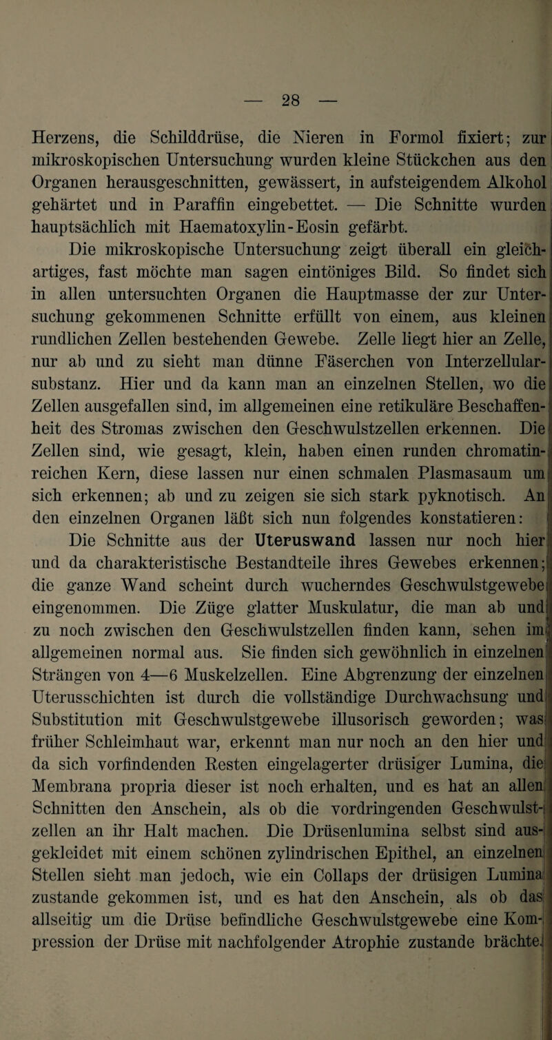 Herzens, die Schilddrüse, die Nieren in Formol fixiert; zur mikroskopischen Untersuchung wurden kleine Stückchen aus den Organen herausgeschnitten, gewässert, in aufsteigendem Alkohol gehärtet und in Paraffin eingebettet. — Die Schnitte wurden hauptsächlich mit Haematoxylin-Eosin gefärbt. Die mikroskopische Untersuchung zeigt überall ein gleich¬ artiges, fast möchte man sagen eintöniges Bild. So findet sich in allen untersuchten Organen die Hauptmasse der zur Unter¬ suchung gekommenen Schnitte erfüllt von einem, aus kleinen rundlichen Zellen bestehenden Gewebe. Zelle liegt hier an Zelle, nur ab und zu sieht man dünne Fäserchen von Interzellular¬ substanz. Hier und da kann man an einzelnen Stellen, wo die Zellen ausgefallen sind, im allgemeinen eine retikuläre Beschaffen¬ heit des Stromas zwischen den Geschwulstzellen erkennen. Die Zellen sind, wie gesagt, klein, haben einen runden chromatin- reichen Kern, diese lassen nur einen schmalen Plasmasaum um sich erkennen; ab und zu zeigen sie sich stark pyknotisch. An den einzelnen Organen läßt sich nun folgendes konstatieren: Die Schnitte aus der Uterus wand lassen nur noch hier und da charakteristische Bestandteile ihres Gewebes erkennen;' die ganze Wand scheint durch wucherndes Geschwulstgewebe eingenommen. Die Züge glatter Muskulatur, die man ab und zu noch zwischen den Geschwulstzellen finden kann, sehen im;j allgemeinen normal aus. Sie finden sich gewöhnlich in einzelnen Strängen von 4—6 Muskelzellen. Eine Abgrenzung der einzelnen Uterusschichten ist durch die vollständige Durchwachsung und Substitution mit Geschwulstgewebe illusorisch geworden; was früher Schleimhaut war, erkennt man nur noch an den hier und da sich vorfindenden Resten eingelagerter drüsiger Lumina, die Membrana propria dieser ist noch erhalten, und es hat an allen Schnitten den Anschein, als ob die vordringenden Geschwulst-; zellen an ihr Halt machen. Die Drüsenlumina selbst sind aus¬ gekleidet mit einem schönen zylindrischen Epithel, an einzelnen j Stellen sieht man jedoch, wie ein Collaps der drüsigen Lumina j zustande gekommen ist, und es hat den Anschein, als ob das allseitig um die Drüse befindliche Geschwulstgewebe eine Kom¬ pression der Drüse mit nachfolgender Atrophie zustande brächte.)