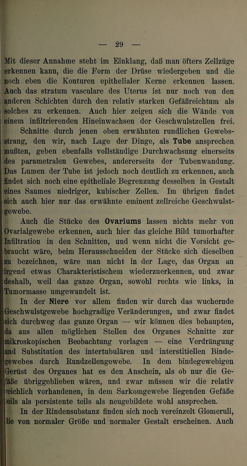 Mit dieser Annahme steht im Einklang, daß man öfters Zellzüge erkennen kann, die die Form der Drüse wiedergeben und die noch eben die Konturen epithelialer Kerne erkennen lassen. Auch das stratum vasculare des Uterus ist nur noch von den anderen Schichten durch den relativ starken Gefäßreichtum als solches zu erkennen. Auch hier zeigen sich die Wände von einem infiltrierenden Hineinwachsen der Geschwulstzellen frei. Schnitte durch jenen oben erwähnten rundlichen Gewebs- strang, den wir, nach Lage der Dinge, als Tube ansprechen mußten, geben ebenfalls vollständige Durchwachsung einerseits des parametralen Gewebes, andererseits der Tubenwandung. Das Lumen der Tube ist jedoch noch deutlich zu erkennen, auch findet sich noch eine epitheliale Begrenzung desselben in Gestalt eines Saumes niedriger, kubischer Zellen. Im übrigen findet sich auch hier nur das erwähnte eminent zellreiche Geschwulst¬ gewebe. Auch die Stücke des Ovariums lassen nichts mehr von Ovarialgewebe erkennen, auch hier das gleiche Bild tumorhafter Infiltration in den Schnitten, und wenn nicht die Vorsicht ge¬ braucht wäre, beim Herausschneiden der Stücke sich dieselben zu bezeichnen, wäre man nicht in der Lage, das Organ an irgend etwas Charakteristischem wiederzuerkennen, und zwar deshalb, weil das ganze Organ, sowohl rechts wie links, in Tumormasse umgewandelt ist. In der Niere vor allem finden wir durch das wuchernde Geschwulstgewebe hochgradige Veränderungen, und zwar findet sich durchweg das ganze Organ — wir können dies behaupten, da aus allen möglichen Stellen des Organes Schnitte zur jmikroskopischen Beobachtung Vorlagen — eine Verdrängung !und Substitution des intertubulären und interstitiellen Binde¬ gewebes durch Rundzellengewebe. In dem bindegewebigen IGerüst des Organes hat es den Anschein, als ob nur die Ge¬ mäße übriggeblieben wären, und zwar müssen wir die relativ Ireichlich vorhandenen, in dem Sarkomgewebe liegenden Gefäße beils als persistente teils als neugebildete wohl ansprechen. In der Rindensubstanz finden sich noch vereinzelt Glomeruli, ilie von normaler Größe und normaler Gestalt erscheinen. Auch