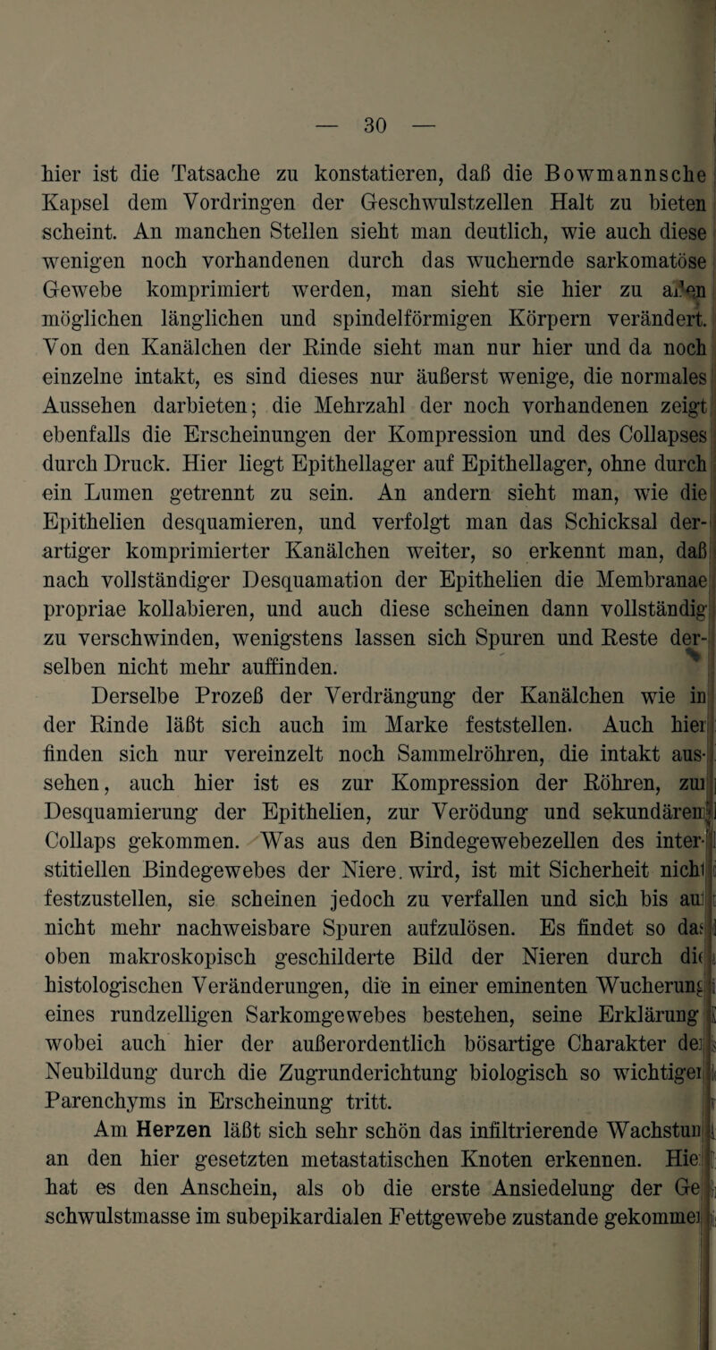 hier ist die Tatsache zu konstatieren, daß die Bowmannsche Kapsel dem Vordringen der Geschwulstzellen Halt zu bieten scheint. An manchen Stellen sieht man deutlich, wie auch diese wenigen noch vorhandenen durch das wuchernde sarkomatöse Gewebe komprimiert werden, man sieht sie hier zu aßen möglichen länglichen und spindelförmigen Körpern verändert. Von den Kanälchen der Kinde sieht man nur hier und da nock einzelne intakt, es sind dieses nur äußerst wenige, die normales Aussehen darbieten; die Mehrzahl der noch vorhandenen zeigt ebenfalls die Erscheinungen der Kompression und des Collapses durch Druck. Hier liegt Epithellager auf Epithellager, ohne durch ein Lumen getrennt zu sein. An andern sieht man, wie die Epithelien desquamieren, und verfolgt man das Schicksal der¬ artiger komprimierter Kanälchen weiter, so erkennt man, daß nach vollständiger Desquamation der Epithelien die Membranae propriae kollabieren, und auch diese scheinen dann vollständig zu verschwinden, wenigstens lassen sich Spuren und Reste der¬ selben nicht mehr auffinden. Derselbe Prozeß der Verdrängung der Kanälchen wie in der Rinde läßt sich auch im Marke feststellen. Auch hier finden sich nur vereinzelt noch Sammelröhren, die intakt aus- sehen, auch hier ist es zur Kompression der Röhren, zui j Desquamierung der Epithelien, zur Verödung und sekundären^] Collaps gekommen. Was aus den Bindegewebezellen des inter¬ stitiellen Bindegewebes der Niere, wird, ist mit Sicherheit nichl festzustellen, sie scheinen jedoch zu verfallen und sich bis am nicht mehr nachweisbare Spuren aufzulösen. Es findet so da* oben makroskopisch geschilderte Bild der Nieren durch di( > histologischen Veränderungen, die in einer eminenten Wucherung i eines rundzelligen Sarkomgewebes bestehen, seine Erklärung I wobei auch hier der außerordentlich bösartige Charakter de] Neubildung durch die Zugrunderichtung biologisch so wichtiger j Parenchyms in Erscheinung tritt. r Am Herzen läßt sich sehr schön das infiltrierende Wachstum i an den hier gesetzten metastatischen Knoten erkennen. Hie | hat es den Anschein, als ob die erste Ansiedelung der Ge 5; schwulstmasse im subepikardialen Fettgewebe zustande gekommen :