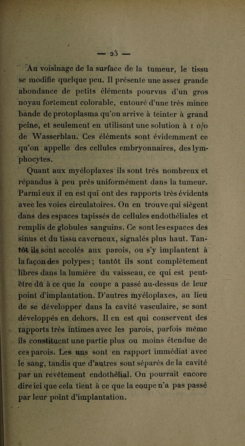 Au voisinage de la surface delà tumeur, le tissu se modifie quelque peu. Il présente une assez grande abondance de petits éléments pourvus d’un gros noyau fortement colorable, entouré d’une très mince bande de protoplasma qu’on arrive à teinter à grand peine, et seulement en utilisant une solution à i o/o de Wasserblau. Ces éléments sont évidemment ce qu’on appelle des cellules embryonnaires, des lym¬ phocytes. Quant aux myéloplaxes ils sont très nombreux et répandus à peu près uniformément dans la tumeur. Parmi eux il en est qui' ont des rapports très évidents avec les voies circulatoires. On en trouve qui siègent dans des espaces tapissés de cellules endothéliales et remplis de globules sanguins. Ce sont les espaces des sinus et du tissu caverneux, signalés plus haut. Tan¬ tôt Ils,sont accolés aux parois, ou s’y implantent à la façon des polypes ; tantôt ils sont complètement libres dans la lumière du vaisseau, ce qui est peut- être dû à ce que la coupe a passé au-dessus de leur point d’implantation. D’autres myéloplaxes, au lieu de se développer dans la cavité vasculaire, se sont développés en dehors, lien est qui conservent des rapports très intimes avec les parois, parfois même ils constituent une partie plus ou moins étendue de ces parois. Les uns sont en rapport immédiat avec le sang, tandis que d’autres sont séparés de la cavité par un revêtement endothélial. On pourrait encore dire ici que cela tient à ce que la coupe n’a pas passé par leur point d’implantation.