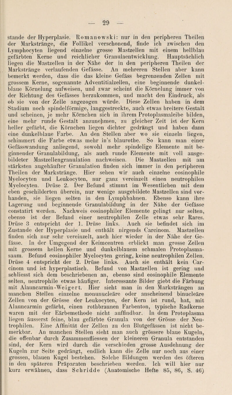 stände der Hyperplasie. Romanowski: nur in den peripheren Theilen der Markstränge, die Follikel verschonend, finde ich zwischen den Lymphocyten liegend einzelne grosse Mastzellen mit einem hellblau gefärbten Kerne und reichlicher Granulaentwicklung. Hauptsächlich liegen die Mastzellen in der Nähe der in den peripheren Theilen der Markstränge verlaufenden Gefässe. An mehreren Stellen aber kann bemerkt werden, dass die das kleine Gefäss begrenzenden Zellen mit grossem Kerne, sogenannte Adventitialzellen, eine beginnende dunkel¬ blaue Körnelung aufweisen, und zwar scheint die Körnelung immer von der Richtung des Gefässes herzukommen, und macht den Eindruck, als ob sie von der Zelle angezogen würde. Diese Zellen haben in dem Stadium noch spindelförmige, langgestreckte, auch etwas breitere Gestalt und scheinen, je mehr Körnchen sich in ihrem Protoplasmaleibe bilden, eine mehr runde Gestalt anzunejimen, zu gleicher Zeit ist der Kern heller gefärbt, die Körnchen liegen dichter gedrängt und haben dann eine dunkelblaue Farbe. An den Stellen aber wo sie einzeln liegen, schimmert die Farbe etwas mehr in’s blaurothe. So kann man einer Gefässwandung anliegend, sowohl mehr spindelige Elemente mit be¬ ginnender Granulabildung, als auch runde Elemente mit voll ausge¬ bildeter Mastzellengranulation nachweisen. Die Mastzellen mit am stärksten augehäufter Granulation finden sich immer in den peripheren Theilen der Markstränge. Hier sehen wir auch einzelne eosinophile Myelocyten und Leukocyten, nur ganz vereinzelt einen neutrophilen Myelocyten. Drüse 2. Der Befund stimmt im Wesentlichen mit dem eben geschilderten überein, nur wenige ausgebildete Mastzellen sind vor¬ handen, sie liegen selten in den Lymphbahnen. Ebenso kann ihre Lagerung und beginnende Granulabildung in der Nähe der Gefässe constatirt werden. Nachweis eosinophiler Elemente gelingt nur selten, ebenso ist der Befund einer neutrophilen Zelle etwas sehr Rares. Drüse 3 entspricht der 1. Drüse links. Auch sie befindet sich im Zustande der Hyperplasie und enthält nirgends Carcinom. Mastzellen finden sich nur sehr vereinzelt, auch hier wieder in der Nähe der Ge¬ fässe. In der Umgegend der Keimcentren erblickt man grosse Zellen mit grossem hellen Kerne und dunkelblauem schmalen Protoplasma¬ saum. Befund eosinophiler Myelocyten gering, keine neutrophilen Zellen. Drüse 4 entspricht der 2. Drüse links. Auch sie enthält kein Car¬ cinom und ist hyperplastisch. Befund von Mastzellen ist gering und schliesst sich dem beschriebenen an, ebenso sind eosinophile Elemente selten, neutrophile etwas häufiger. Interessante Bilder giebt die Färbung mit Alauncarmin-Weigert. Hier sieht man in den Marksträngen an manchen Stellen einzelne monunucleäre oder anscheinend binucleäre Zellen von der Grösse der Leukocyten, der Kern ist rund, hat, mit Alauncarmin gefärbt, einen rothbraunen Farbenton, typische Radkerne waren mit der Eärbemethode nicht auffindbar. In dem Protoplasma liegen äusserst feine, blau gefärbte Granula von der Grösse der Neu¬ trophilen. Eine Affinität der Zellen zu den Blutgefässen ist nicht be¬ merkbar. An manchen Stellen sieht man auch grössere blaue Kugeln, die offenbar durch Zusammenfliessen der kleineren Granula entstanden sind, der Kern wird durch die verschieden grosse Ausdehnung der Kugeln zur Seite gedrängt, endlich kann die Zelle nur noch aus einer grossen, blauen Kugel bestehen. Solche Bildungen werden des öfteren in den späteren Präparaten beschrieben werden. Ich will hier nur kurz erwähnen, dass Schridde (Anatomische Hefte 85, 86, S. 46)