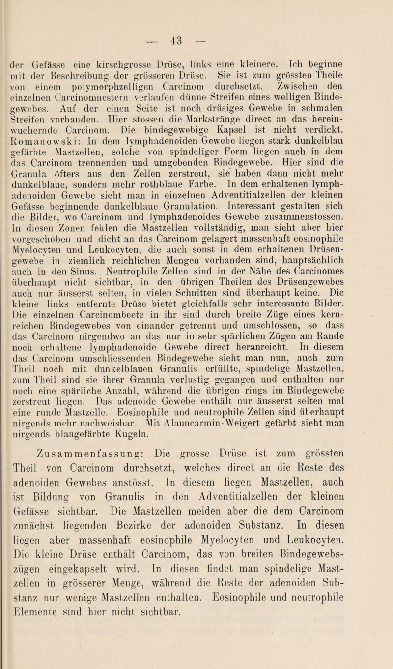 der Gefässe eine kirschgrosse Drüse, links eine kleinere. Ich beginne mit der Beschreibung der grösseren Drüse. Sie ist zum grössten Tlieile von einem polymorphzelligen Carcinom durchsetzt. Zwischen den einzelnen Carcinomnestern verlaufen dünne Streifen eines welligen Binde¬ gewebes. Auf der einen Seite ist noch drüsiges Gewebe in schmalen Streifen vorhanden. Hier stossen die Markstränge direct an das herein¬ wuchernde Carcinom. Die bindegewebige Kapsel ist nicht verdickt. Romanowski: In dem lymphadenoiden Gewebe liegen stark dunkelblau gefärbte Mastzellen, solche von spindeliger Form liegen auch in dem das Carcinom trennenden und umgebenden Bindegewebe. Hier sind die Granula öfters aus den Zellen zerstreut, sie haben dann nicht mehr dunkelblaue, sondern mehr rothblaue Farbe. In dem erhaltenen lymph¬ adenoiden Gewebe sieht man in einzelnen Adventitialzellen der kleinen Gefässe beginnende dunkelblaue Granulation. Interessant gestalten sich die Bilder, wo Carcinom und lymphadenoides Gewebe zusammenstossen. In diesen Zonen fehlen die Mastzellen vollständig, man sieht aber hier vorgeschoben und dicht an das Carcinom gelagert massenhaft eosinophile Myelocyten und Leukocyten, die auch sonst in dem erhaltenen Drüsen¬ gewebe in ziemlich reichlichen Mengen vorhanden sind, hauptsächlich auch in den Sinus. Neutrophile Zellen sind in der Nähe des Carcinomes überhaupt nicht sichtbar, in den übrigen Theilen des Drüsengewebes auch nur äusserst selten, in vielen Schnitten sind überhaupt keine. Die kleine links entfernte Drüse bietet gleichfalls sehr interessante Bilder. Die einzelnen Carcinombeete in ihr sind durch breite Züge eines kern¬ reichen Bindegewebes von einander getrennt und umschlossen, so dass das Carcinom nirgendwo an das nur in sehr spärlichen Zügen am Rande noch erhaltene lymphadenoide Gewebe direct heranreicht. In diesem das Carcinom umschiiessenden Bindegewebe sieht man nun, auch zum Theil noch mit dunkelblauen Granulis erfüllte, spindelige Mastzellen, zum Theil sind sie ihrer Granula verlustig gegangen und enthalten nur noch eine spärliche Anzahl, während die übrigen rings im Bindegewebe zerstreut liegen. Das adenoide Gewebe enthält nur äusserst selten mal eine runde Mastzelle. Eosinophile und neutrophile Zellen sind überhaupt nirgends mehr nachweisbar. Mit Alauncarmin-Weigert gefärbt sieht man nirgends blaugefärbte Kugeln. Zusammenfassung: Die grosse Drüse ist zum grössten Theil von Carcinom durchsetzt, welches direct an die Reste des adenoiden Gewebes anstösst. In diesem liegen Mastzellen, auch ist Bildung von Granulis in den Adventitialzellen der kleinen Gefässe sichtbar. Die Mastzellen meiden aber die dem Carcinom zunächst liegenden Bezirke der adenoiden Substanz. In diesen liegen aber massenhaft eosinophile Myelocyten und Leukocyten. Die kleine Drüse enthält Carcinom, das von breiten Bindegewebs- zügen eingekapselt wird. In diesen findet man spindelige Mast¬ zellen in grösserer Menge, während die Reste der adenoiden Sub¬ stanz nur wenige Mastzellen enthalten. Eosinophile und neutrophile Elemente sind hier nicht sichtbar.