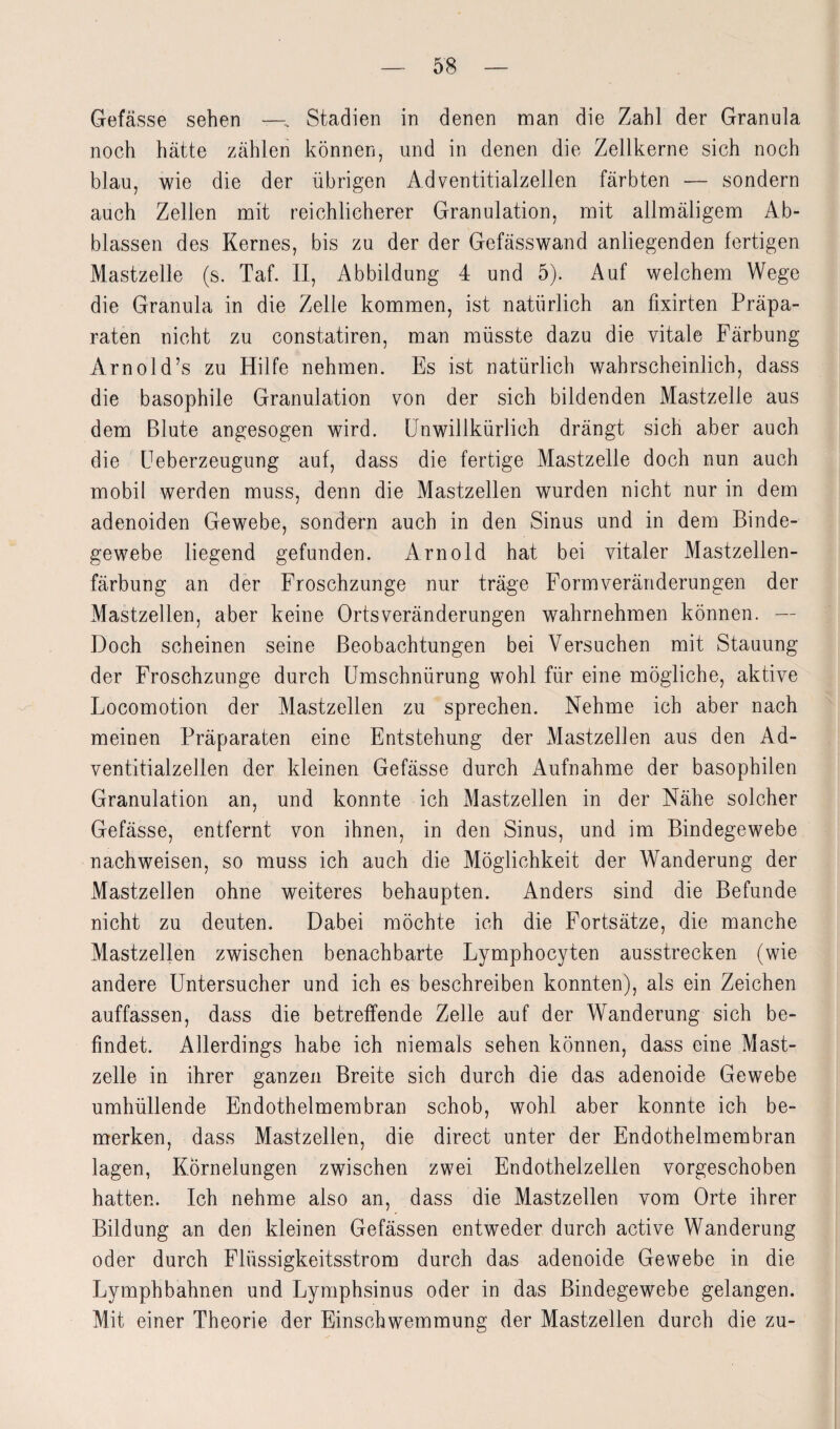 Gefässe sehen — Stadien in denen man die Zahl der Granula noch hätte zählen können, und in denen die Zellkerne sich noch blau, wie die der übrigen Adventitialzellen färbten — sondern auch Zellen mit reichlicherer Granulation, mit ailmäligem Ab¬ blassen des Kernes, bis zu der der Gefässwand anliegenden fertigen Mastzelle (s. Taf. II, Abbildung 4 und 5). Auf welchem Wege die Granula in die Zelle kommen, ist natürlich an fixirten Präpa¬ raten nicht zu constatiren, man müsste dazu die vitale Färbung Arnold’s zu Hilfe nehmen. Es ist natürlich wahrscheinlich, dass die basophile Granulation von der sich bildenden Mastzelie aus dem Blute angesogen wird. Unwillkürlich drängt sich aber auch die Ueberzeugung auf, dass die fertige Mastzelle doch nun auch mobil werden muss, denn die Mastzellen wurden nicht nur in dem adenoiden Gewebe, sondern auch in den Sinus und in dem Binde¬ gewebe liegend gefunden. Arnold hat bei vitaler Mastzellen¬ färbung an der Froschzunge nur träge Formveränderungen der Mastzellen, aber keine Ortsveränderungen wahrnehmen können. — Doch scheinen seine Beobachtungen bei Versuchen mit Stauung der Froschzunge durch Umschnürung wohl für eine mögliche, aktive Locomotion der Mastzellen zu sprechen. Nehme ich aber nach meinen Präparaten eine Entstehung der Mastzellen aus den Ad¬ ventitialzellen der kleinen Gefässe durch Aufnahme der basophilen Granulation an, und konnte ich Mastzellen in der Nähe solcher Gefässe, entfernt von ihnen, in den Sinus, und im Bindegewebe nachweisen, so muss ich auch die Möglichkeit der Wanderung der Mastzellen ohne weiteres behaupten. Anders sind die Befunde nicht zu deuten. Dabei möchte ich die Fortsätze, die manche Mastzellen zwischen benachbarte Lymphocyten ausstrecken (wie andere Untersucher und ich es beschreiben konnten), als ein Zeichen auffassen, dass die betreffende Zelle auf der Wanderung sich be¬ findet. Allerdings habe ich niemals sehen können, dass eine Mast¬ zelle in ihrer ganzen Breite sich durch die das adenoide Gewebe umhüllende Endothelmembran schob, wohl aber konnte ich be¬ merken, dass Mastzellen, die direct unter der Endothelmembran lagen, Körnelungen zwischen zwei Endothelzellen vorgeschoben hatten. Ich nehme also an, dass die Mastzellen vom Orte ihrer Bildung an den kleinen Gefässen entweder durch active Wanderung oder durch Flüssigkeitsstrom durch das adenoide Gewebe in die Lymphbahnen und Lymphsinus oder in das Bindegewebe gelangen. Mit einer Theorie der Einschwemmung der Mastzellen durch die zu-