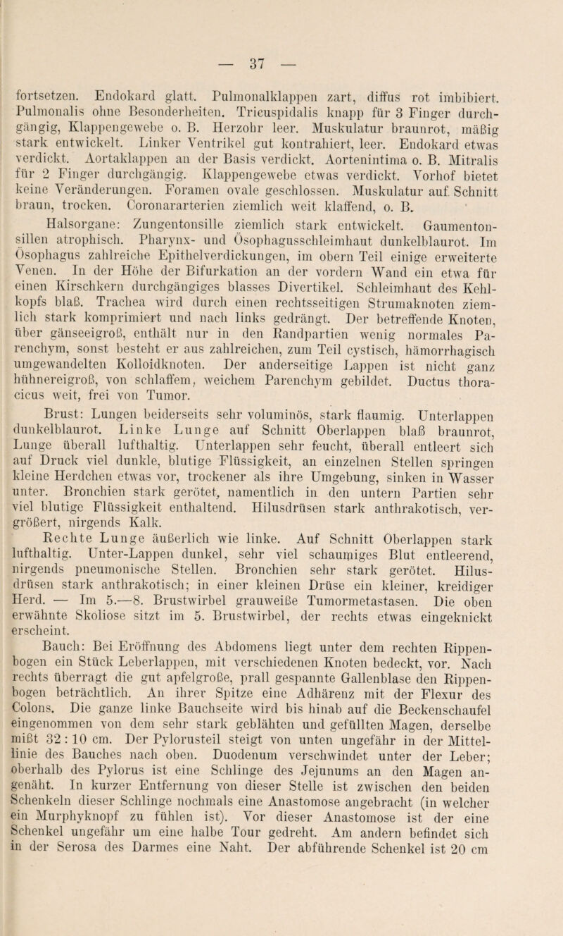 fortsetzen. Endokard glatt. Pulmonalklappen zart, diffus rot imbibiert. Pulmonalis ohne Besonderheiten. Tricuspidalis knapp für 3 Finger durch¬ gängig, Klappengewebe o. B. Herzobr leer. Muskulatur braunrot, mäßig stark entwickelt. Linker Ventrikel gut kontrahiert, leer. Endokard etwas verdickt. Aortaklappen an der Basis verdickt. Aortenintima o. B. Mitralis für 2 Finger durchgängig. Klappengewebe etwas verdickt. Vorhof bietet keine Veränderungen. Foramen ovale geschlossen. Muskulatur auf Schnitt braun, trocken. Coronararterien ziemlich weit klaffend, o. B. Halsorgane: Zungentonsille ziemlich stark entwickelt. Gaumen ton- sillen atrophisch. Pharynx- und Ösophagusschleimhaut dunkelblaurot. Im Ösophagus zahlreiche Epithelverdickungen, im obern Teil einige erweiterte Venen. In der Höhe der Bifurkation an der vordem Wand ein etwa für einen Kirschkern durchgängiges blasses Divertikel. Schleimhaut des Kehl¬ kopfs blaß. Trachea wird durch einen rechtsseitigen Strumaknoten ziem¬ lich stark komprimiert und nach links gedrängt. Der betreffende Knoten, über gänseeigroß, enthält nur in den Randpartien wenig normales Pa¬ renchym, sonst besteht er aus zahlreichen, zum Teil cystiscli, hämorrhagisch umgewandelten Kolloidknoten. Der anderseitige Lappen ist nicht ganz hühnereigroß, von schlaffem, weichem Parenchym gebildet. Ductus thora- cicus weit, frei von Tumor. Brust: Lungen beiderseits sehr voluminös, stark flaumig. Unterlappen dunkelblaurot. Linke Lunge auf Schnitt Oberlappen blaß braunrot, Lunge überall lufthaltig. Unterlappen sehr feucht, überall entleert sich auf Druck viel dunkle, blutige Flüssigkeit, an einzelnen Stellen springen kleine Herdchen etwas vor, trockener als ihre Umgebung, sinken in Wasser unter. Bronchien stark gerötet, namentlich in den untern Partien sehr viel blutige Flüssigkeit enthaltend. Hilusdrüsen stark anthrakotisch, ver¬ größert, nirgends Kalk. Rechte Lunge äußerlich wie linke. Auf Schnitt Oberlappen stark lufthaltig. Unter-Lappen dunkel, sehr viel schaumiges Blut entleerend, nirgends pneumonische Stellen. Bronchien sehr stark gerötet. Hilus¬ drüsen stark anthrakotisch; in einer kleinen Drüse ein kleiner, kreidiger Herd. — Im 5.—8. Brustwirbel grauweiße Tumormetastasen. Die oben erwähnte Skoliose sitzt im 5. Brustwirbel, der rechts etwas eingeknickt erscheint, Bauch: Bei Eröffnung des Abdomens liegt unter dem rechten Rippen¬ bogen ein Stück Leberlappen, mit verschiedenen Knoten bedeckt, vor. Nach rechts überragt die gut apfelgroße, prall gespannte Gallenblase den Rippen¬ bogen beträchtlich. An ihrer Spitze eine Adhärenz mit der Flexur des Colons. Die ganze linke Bauchseite wird bis hinab auf die Beckenschaufel eingenommen von dem sehr stark geblähten und gefüllten Magen, derselbe mißt 32:10 cm. Der Pvlorusteil steigt von unten ungefähr in der Mittel¬ linie des Bauches nach oben. Duodenum verschwindet unter der Leber; oberhalb des Pylorus ist eine Schlinge des Jejunums an den Magen an¬ genäht. In kurzer Entfernung von dieser Stelle ist zwischen den beiden Schenkeln dieser Schlinge nochmals eine Anastomose angebracht (in welcher ein Murphyknopf zu fühlen ist). Vor dieser Anastomose ist der eine Schenkel ungefähr um eine halbe Tour gedreht. Am andern befindet sich in der Serosa des Darmes eine Naht, Der abführende Schenkel ist 20 cm