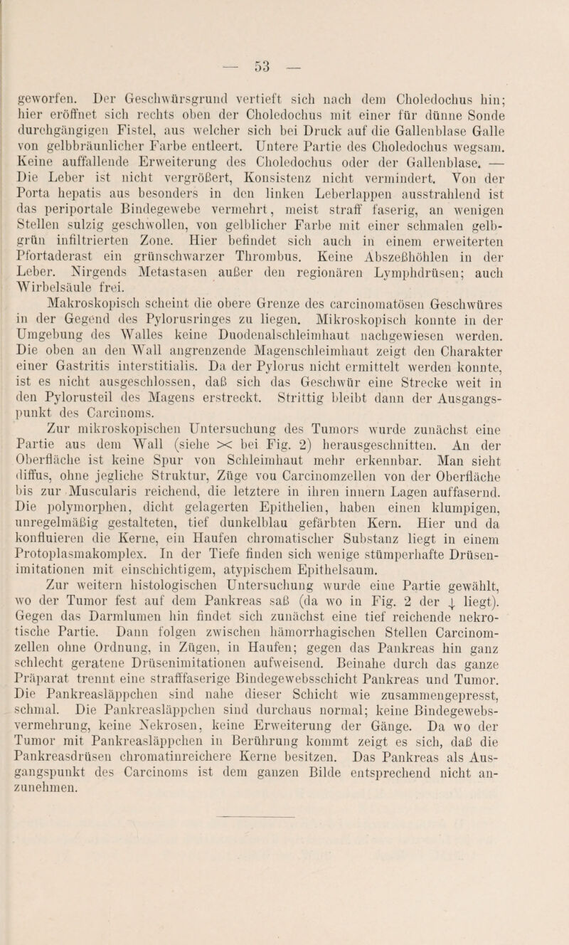 geworfen. Der Geschwürsgrund vertieft sich nach dem Choledochus hin; hier eröffnet sich rechts oben der Choledochus mit einer für dünne Sonde durchgängigen Fistel, aus welcher sich bei Druck auf die Gallenblase Galle von gelbbräunlicher Farbe entleert. Untere Partie des Choledochus wegsam. Keine auffallende Erweiterung des Choledochus oder der Gallenblase. — Die Leber ist nicht vergrößert, Konsistenz nicht vermindert. Von der Porta hepatis aus besonders in den linken Leberlappen ausstrahlend ist das periportale Bindegewebe vermehrt, meist straff faserig, an wenigen Stellen sulzig geschwollen, von gelblicher Farbe mit einer schmalen gelb¬ grün infiltrierten Zone. Hier befindet sich auch in einem erweiterten Pfortaderast ein grünschwarzer Thrombus. Keine Abszeßhöhlen in der Leber. Nirgends Metastasen außer den regionären Lymphdrüsen; auch Wirbelsäule frei. Makroskopisch scheint die obere Grenze des carcinomatösen Geschwüres in der Gegend des Pylorusringes zu liegen. Mikroskopisch konnte in der Umgebung des Walles keine Duodenalschleimhaut nachgewiesen werden. Die oben an den Wall angrenzende Magenschleimhaut zeigt den Charakter einer Gastritis interstitialis. Da der Pylorus nicht ermittelt werden konnte, ist es nicht ausgeschlossen, daß sich das Geschwür eine Strecke weit in den Pylorusteil des Magens erstreckt. Strittig bleibt dann der Ausgangs¬ punkt des Carcinoms. Zur mikroskopischen Untersuchung des Tumors wurde zunächst eine Partie aus dem Wall (siehe X bei Fig. 2) herausgeschnitten. An der Oberfläche ist keine Spur von Schleimhaut mehr erkennbar. Man sieht diffus, ohne jegliche Struktur, Züge vou Carcinomzellen von der Oberfläche bis zur Muscularis reichend, die letztere in ihren innern Lagen auffasernd. Die polymorphen, dicht gelagerten Epithelien, haben einen klumpigen, unregelmäßig gestalteten, tief dunkelblau gefärbten Kern. Hier und da konfluieren die Kerne, ein Haufen chromatischer Substanz liegt in einem Protoplasmakomplex. In der Tiefe finden sich wenige stümperhafte Drüsen¬ imitationen mit einschichtigem, atypischem Epithelsaum. Zur weitern histologischen Untersuchung wurde eine Partie gewählt, wo der Tumor fest auf dem Pankreas saß (da wo in Fig. 2 der 4. liegt). Gegen das Darmlumen hin findet sich zunächst eine tief reichende nekro¬ tische Partie. Dann folgen zwischen hämorrhagischen Stellen Carcinom¬ zellen ohne Ordnung, in Zügen, in Haufen; gegen das Pankreas hin ganz schlecht geratene Drüsenimitationen aufweisend. Beinahe durch das ganze Präparat trennt eine strafffaserige Bindegewebsschicht Pankreas und Tumor. Die Pankreasläppchen sind nahe dieser Schicht wie zusammengepresst, schmal. Die Pankreasläppchen sind durchaus normal; keine Bindegewebs¬ vermehrung, keine Nekrosen, keine Erweiterung der Gänge. Da wo der Tumor mit Pankreasläppchen in Berührung kommt zeigt es sich, daß die Pankreasdrüsen ckromatinreichere Kerne besitzen. Das Pankreas als Aus¬ gangspunkt des Carcinoms ist dem ganzen Bilde entsprechend nicht an¬ zunehmen.