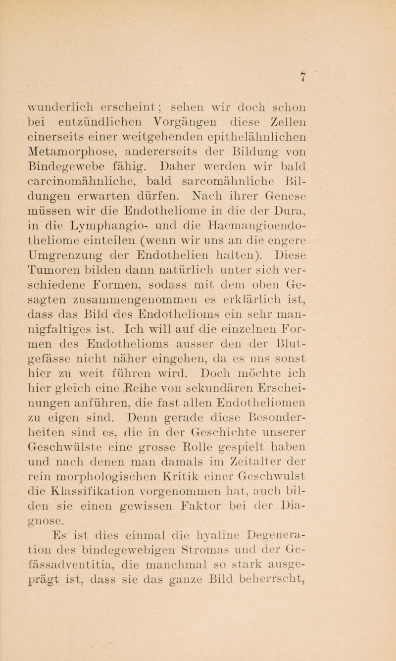 wunderlich erscheint; sehen wir doch schon bei entzündlichen Vorgängen diese Zellen einerseits einer weitgehenden epithelähnlichen Metamorphose, andererseits der Bildung von Bindegewebe fähig. Daher werden wir bald carcinornälmliche, bald sarcomähnliche Bil¬ dungen erwarten dürfen. Nach ihrer Genese müssen wir die Endotheliome in die der Dura, in die Lymphangio- und die Haemangioendo- theliome einteilen, (wenn wir uns an die engere Umgrenzung der Endothelien halten). Diese Tumoren bilden dann natürlich unter sich ver¬ schiedene Formen, sodass mit dem oben Ge¬ sagten zusammengenommen es erklärlich ist, dass das Bild des Endothelioms ein sehr man¬ nigfaltiges ist. Ich will auf die einzelnen For¬ men des Endothelioms ausser den der Blut¬ gefässe nicht näher eingehen, da es uns sonst hier zu weit führen wird. Doch möchte ich hier gleich eine .Reihe von sekundären Erschei¬ nungen anführen, die fast allen Endotheliomen zu eigen sind. Denn gerade diese Besonder¬ heiten sind es, die in der Geschichte unserer Geschwülste eine grosse Rolle gespielt haben und nach denen man damals im Zeitalter der rein morphologischen Kritik einer Geschwulst die Klassifikation vorgenommen hat, auch bil¬ den sie einen gewissen Faktor bei der Dia¬ gnose. Es ist dies einmal die hyaline Degenera- tion des bindegewebigen Stromas und der Ge- ausge- fässadventitia, die manchmal so stark prägt ist, dass sie das ganze Bild beherrscht,