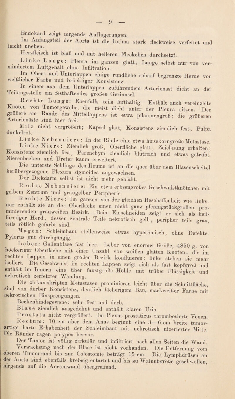 Endokard zeigt nirgends Auflagerungen. _ Im Anfangsteil der Aorta ist die Intima stark fleokweise verfettet und leicht uneben. Heizfleisch ist blaß und mit helleren Fleckchen durchsetzt. Linke Lunge. Pleura im ganzen glatt, Lunge selbst nur von ver- nnndeitern Luftgehalt ohne Infiltration. Jni unc^ Unterlappen einige rundliche scharf begrenzte Herde von weißlicher Farbe und bröckliger Konsistenz. e*n<;m aus ^em Unterlappen zuführendem Arterienast dicht an der 1. Gilimg’sstGllG 6id fGsth elften d.6s großes GrGrinnsel* Hechte Lunge: Ebenfalls teils lufthaltig. Enthält auch vereinzelte Knoten von Tumorgewebe, die meist dicht unter der Pleura sitzen. Der gröbere am Hände des Mittellappens ist etwa pflaumengroß; die größeren Arterienäste sind hier frei. Milz nicht vergrößert; Kapsel glatt, Konsistenz ziemlich fest, Pulpa dunkelrot. Linke Nebenniere: In der Hinde eine etwa hirsekorngroße Metastase. Unke Niere: Ziemlich groß, Oberfläche glatt, Zeichnung erhalten; Konsistenz ziemlich fest, Parenchym ziemlich blutreich und etwas getrübt. Nierenbecken und Ureter kaum erweitert. Die unterste Schlinge des Ileums ist an die quer über dem Blasenscheitel herübergezogene Flexura sigmoidea angewachsen. Der Dickdarm selbst ist nicht mehr gebläht. Hechte Nebenniere: Ein etwa erbsengroßes Geschwulstknötchen mit gelbem Zentrum und graugelber Peripherie. Hechte Niere: Im ganzen von der gleichen Beschaffenheit wie links; nur enthält sie an der Oberfläche einen nicht ganz pfennigstückgroßen, pro¬ minierenden grauweißen Bezirk. Beim Einschneiden zeigt er sich als keil- förmigei Heid, dessen zentrale Teile nekrotisch gelb, peripher teils grau teils rötlich gefärbt sind. 7 Magen: Schleimhaut stellenweise etwas hyperämisch, ohne Defekte. Pylorus gut durchgängig. Leber: Gallenblase fast leer. Leber von enormer Größe, 4850 g, von höckeriger Oberfläche mit einer Unzahl von weißen glatten Knoten, die im rechten Lappen in einen großen Bezirk konfluieren; links stehen sie mehr isoliert. . Die Geschwulst im rechten Lappen zeigt sich als fast kopfgroß und enthält im Innern eine über faustgroße Höhle mit trüber Flüssigkeit und nekrotisch zerfetzter Wandung. Die zirkumskripten Metastasen prominieren leicht über die Schnittfläche, sind von derber Konsistenz, deutlich fächerigem Bau, markweißer Farbe mit nekrotischen Einsprengungen. Beckenbindegewebe: sehr fest und derb. Blase ziemlich ausgedehnt und enthält klaren Urin. Prostata nicht vergrößert. Im Plexus prostaticus thrombosierte Venen. Hectum: 10 cm über dem Anus beginnt eine 3—6 cm breite tumor¬ artige harte Erhabenheit der Schleimhaut mit nekrotisch ulcerierter Mitte. Die Händer ragen polypös hervor. Der Tumor ist völlig zirkulär und infiltriert nach allen Seiten die Wand. Verwachsung nach der Blase ist nicht vorhanden. Die Entfernung vom obeien lumorrand bis zur Golostomie beträgt 15 cm. Die Lymphdrüsen an der Aorta sind ebenfalls krebsig entartet und bis zu Walnußgroße geschwollen, nirgends auf die Aortenwand übergreifend.