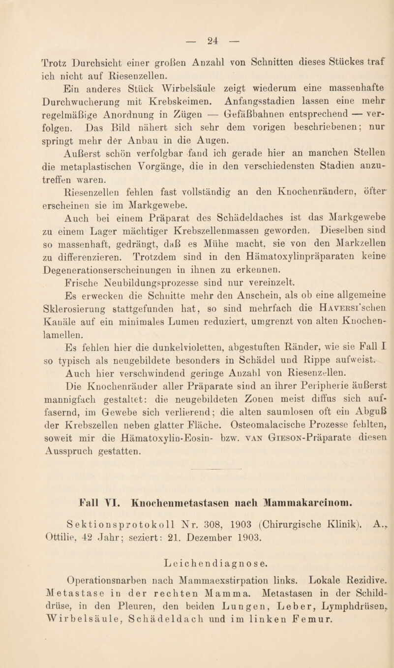 Trotz Durchsicht einer großen Anzahl von Schnitten dieses Stückes traf ich nicht auf Biesenzellen. Ein anderes Stück Wirbelsäule zeigt wiederum eine massenhafte Durchwucherung mit Krebskeimen. Anfangsstadien lassen eine mehr regelmäßige Anordnung in Zügen — Gefäßbahnen entsprechend — ver¬ folgen. Das Bild nähert sich sehr dem vorigen beschriebenen; nur springt mehr der Anbau in die Augen. Äußerst schön verfolgbar -fand ich gerade hier an manchen Stellen die metaplastischen Vorgänge, die in den verschiedensten Stadien anzu¬ treffen waren. Biesenzellen fehlen fast vollständig an den Knochenrändern, öfter erscheinen sie im Markgewebe. Auch bei einem Präparat des Schädeldaches ist das Markgewebe zu einem Lager mächtiger Krebszellenmassen geworden. Dieselben sind so massenhaft, gedrängt, daß es Mühe macht, sie von den Markzellen zu differenzieren. Trotzdem sind in den Hämatoxylinpräparaten keine Degenerationserscheinungen in ihnen zu erkennen. Frische Neubildungsprozesse sind nur vereinzelt. Es erwecken die Schnitte mehr den Anschein, als ob eine allgemeine Sklerosierung stattgefunden hat, so sind mehrfach die HAVEBSi'schen Kanäle auf ein minimales Lumen reduziert, umgrenzt von alten Knochen¬ lamellen. Es fehlen hier die dunkelvioletten, abgestuften Bänder, wie sie Fall I so typisch als neugebildete besonders in Schädel und Bippe aufweist. Auch hier verschwindend geringe Anzahl von BiesenzGlen. Die Knochenräuder aller Präparate sind an ihrer Peripherie äußerst mannigfach gestaltet: die neugebildeten Zonen meist diffus sich auf¬ fasernd, im Gewebe sich verlierend; die alten saumlosen oft ein Abguß der Krebszellen neben glatter Fläche. Osteomalaciscbe Prozesse fehlten, soweit mir die Hämatoxylin-Eosin- bzw. van GiESON-Präparate diesen Ausspruch gestatten. Fall YI. Knochenmetastasen nach Mammakarcinom. Sektionsprotokoll Nr. 308, 1903 (Chirurgische Klinik). A.^ Ottilie, 42 Jahr; seziert: 21. Dezember 1903. Leichendiagnose. Operationsnarben nach Mammaexstirpation links. Lokale Bezidive. Metastase in der rechten Mamma. Metastasen in der Schild¬ drüse, in den Pleuren, den beiden Lungen, Leber, Lymphdrüsen,. Wirbelsäule, Schädeldach und im linken Femur.