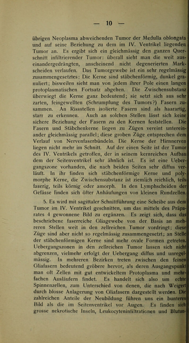 übrigen Neoplasma abweichenden Tumor der Medulla oblongata und auf seine Beziehung zu dem im IV. Ventrikel liegenden Tumor an. Es ergibt sich ein gleichmässig den ganzen Quer¬ schnitt infiltrierender Tumor: überall sieht man die weit aus¬ einandergedrängten, anscheinend nicht degenerierten Mark¬ scheiden verlaufen. Das Tumorgewebe ist ein sehr regelmässig zusammengesetztes: Die Kerne sind stäbchenförmig, dunkel gra¬ nuliert; bisweilen sieht man von jedem ihrer Pole einen langen protoplasmatischen Fortsatz abgehen. Die Zwischensubstanz überwiegt die Kerne ganz bedeutend; sie setzt sich aus sehr zarten, feingewellten (Schrumpfung des Tumors?) Fasern zu¬ sammen. An Rissstellen isolierte Fasern sind als haarartig, starr zu erkennen. Auch an solchen Stellen lässt sich keine sichere Beziehung der Fasern zu den Kernen feststellen. Die Fasern und Stäbchenkerne liegen zu Zügen vereint unterein¬ ander gleichmässig parallel; diese groben Züge entsprechen dem Verlauf von Nervenfaserbündeln. Die Kerne der Hirnnerven liegen nicht mehr im Schnitt. Auf der einen Seite ist der Tumor des IV. Ventrikels getroffen, der in seinem kernreichen Aufbaui dem der Seitenventrikel sehr ähnlich ist. Es ist eine Ueber- gangszone vorhanden, die nach beiden Seiten sehr diffus ver¬ läuft. In ihr finden sich stäbchenförmige Kerne und poly¬ morphe Kerne, die Zwischensubstanz ist ziemlich reichlich, teils faserig, teils körnig oder amorph. In den Lymphscheiden der Gefässe finden sich öfter Anhäufungen von kleinen Rundzellen. 5. Es wird mit sagittaler Schnittführung eine Scheibe aus dem Tumor im IV. Ventrikel geschnitten, um das mittels des Präpa¬ rates 4 gewonnene Bild zu ergänzen. Es zeigt sich, dass das beschriebene faserreiche Gliagewebe von der Basis an meh¬ reren Stellen weit in den zellreichen Tumor vordringt; diese Züge sind aber nicht so regelmässig zusammengesetzt; an Stelle der stäbchenförmigen Kerne sind mehr ovale Formen getreten. Uebergangszonen in den zellreichen Tumor lassen sich nicht abgrenzen, vielmehr erfolgt der Uebergang diffus und unregel¬ mässig. In mehreren Bezirken treten zwischen den feinen Gliafasern bedeutend gröbere hervor, als deren Ausgängspunkt man oft Zellen mit gut entwickeltem Protoplasma und mehr¬ fachen Ausläufern findet. Es handelt sich also um echte Spinnenzellen, zum Unterschied von denen, die nach Weigert durch blosse Anlagerung von Gliafasern dargestellt werden. Die zahlreichen Anteile der Neubildung führen uns ein bunteres Bild als die im Seitenventrikel vor Augen. Es finden sich grosse nekrotische Inseln, Leukocyteninfiltrationen und Blutun-