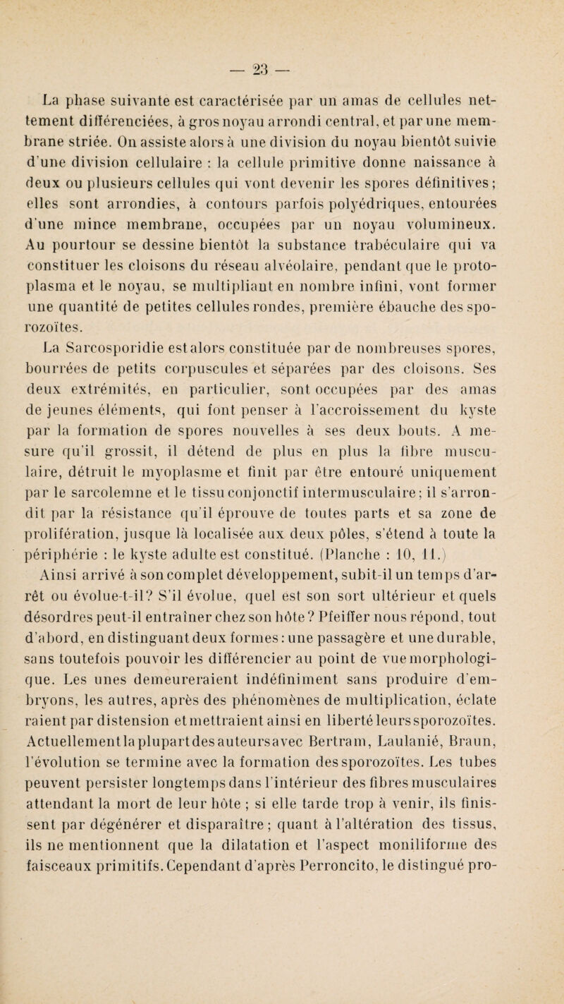 La phase suivante est caractérisée par un amas de cellules net¬ tement ditlérenciées, à gros noyau arrondi central, et par une mem¬ brane striée. On assiste alors à une division du noyau bientôt suivie d'une division cellulaire : la cellule primitive donne naissance à deux ou plusieurs cellules qui vont devenir les spores définitives; elles sont arrondies, à contours parfois polyédriques, entourées d'une mince membrane, occupées par un noyau volumineux. Au pourtour se dessine bientôt la substance trabéculaire qui va constituer les cloisons du réseau alvéolaire, pendant que le proto¬ plasma et le noyau, se multipliant en nombre infini, vont former une quantité de petites cellules rondes, première ébauche desspo¬ rozoïtes. La Sarcosporidie est alors constituée par de nombreuses spores, bourrées de petits corpuscules et séparées par des cloisons. Ses deux extrémités, en particulier, sont occupées par des amas de jeunes éléments, qui font penser à l'accroissement du kyste par la formation de spores nouvelles à ses deux bouts. A me¬ sure qu’il grossit, il détend de plus en plus la fibre muscu¬ laire, détruit le myoplasme et finit par être entouré uniquement par le sarcolemne et le tissu conjonctif intermusculaire; il s’arron¬ dit par la résistance qu'il éprouve de toutes parts et sa zone de prolifération, jusque là localisée aux deux pôles, s’étend à toute la périphérie : le kyste adulte est constitué. (Planche : 10, 11.) Ainsi arrivé à son complet développement, subit-il un temps d’ar¬ rêt ou évolue-t-il? S’il évolue, quel est son sort ultérieur et quels désordres peut-il entraîner chez son hôte ? Pfeiffer nous répond, tout d’abord, en distinguant deux formes : une passagère et une durable, sans toutefois pouvoir les différencier au point de vue morphologi¬ que. Les unes demeureraient indéfiniment sans produire d’em¬ bryons, les autres, après des phénomènes de multiplication, éclate raient par distension et mettraient ainsi en liberté leurs sporozoïtes. Actuellementla plupart des auteursavec Bertram, Laulanié, Braun, l’évolution se termine avec la formation des sporozoïtes. Les tubes peuvent persister longtemps dans l’intérieur des fibres musculaires attendant la mort de leur hôte ; si elle tarde trop à venir, ils finis¬ sent par dégénérer et disparaître; quant à l’altération des tissus, ils ne mentionnent que la dilatation et l’aspect moniliforme des faisceaux primitifs. Cependant d’après Perroncito, le distingué pro-