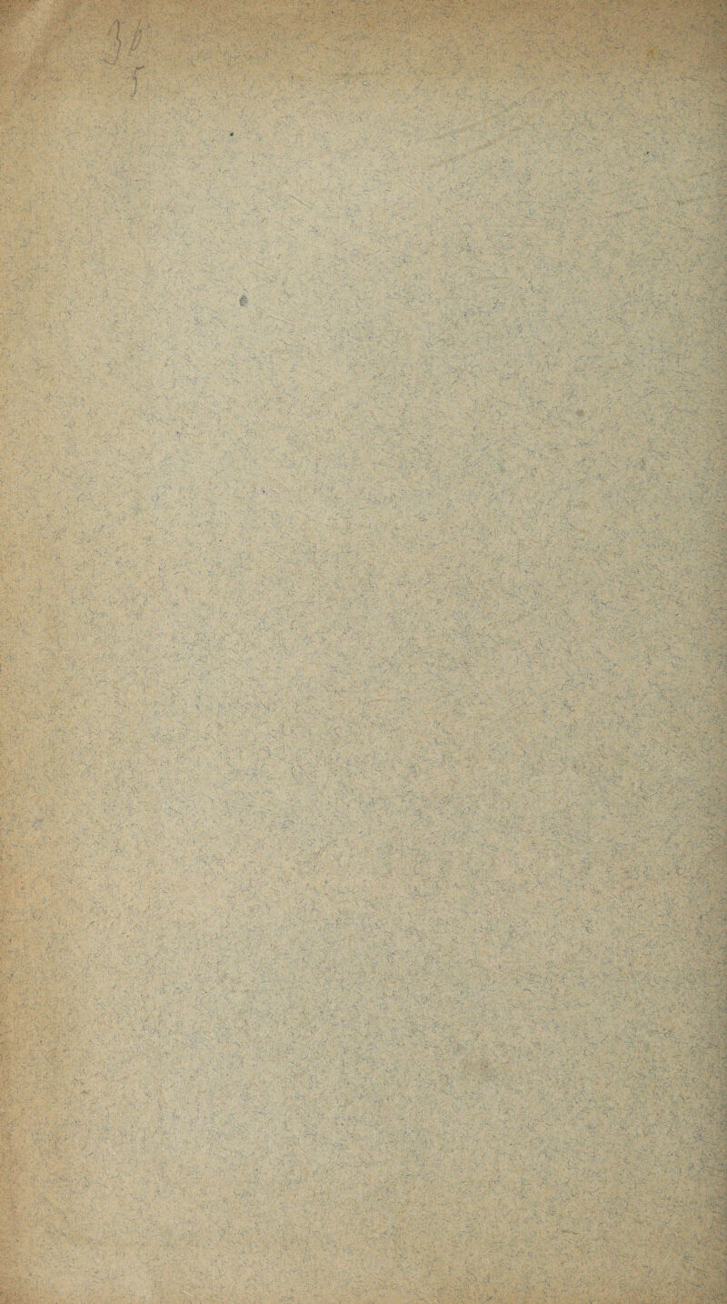 ; - -Mi ■ w' ' . v _ j r- ; . • . j. .. , •' . V . ' •• v ; • • , ‘ .:Ä,.:vV. ... ' .' • l\ ’ . \y '  * ' ' ' - ’ ' '■ - * ’  ’' -/ ' L' - f \ r; ■■ * 1 • ..'/w - £>’.'• ■• V «.> > - I v ..v.,. •< . . - ■ . < ' ■ , ■- ... ■ . ' : . ■■;■■■ -■> . ; ' . i :': - VV ■ / > . .. ->■- . ' . V oh : ' ..  ■ . ■ -..; ' ' ■ >v ■ ' ■ • ' • .-s - . 1 .... - ... • .- • V- . ' • '• ‘ : ■ ■ ■ . X- ' ■ ' ‘ ‘ ■ { ' 1&A - - - - - . ■■ $ '■ ' • ' ' , -. . . - , . . .: , ! ■ r , ' ' Vk~ U ' ■  . . ■' .. ' r r ^ ■ ' v , • -:r' • -v l ■■ ■ ■ -v • > • -:v* ■'. ■ t « - . ... / •.. •• > ■' . % '■ : ' r'v' » ! - - ' ■ ■ '■ ■ . r...-v. v ' ■ : * ' ■ v- ,. •'* • ' ■ 'ri- f - 'vw..- ■» ■ ■ '  ' ■ ' f • . , ■; -■ ' ; vi': v ■ • ■■ - ■ / . , ■ lasv«*?' ■ / ; 1 v='...- - v- - : n: I . ' fäk ■ . UZ ' S