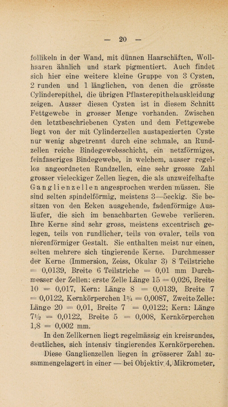 follikeln in der Wand, mit dünnen Haar schäften, Woll- haaren ähnlich und stark pigmentiert. Auch findet sich hier eine weitere kleine Gruppe von 3 Cysten, 2 runden und 1 länglichen, von denen die grösste Cylinderepithel, die übrigen Pflasterepithelauskleidung zeigen. Ausser diesen Cysten ist in diesem Schnitt Fettgewebe in grosser Menge vorhanden. Zwischen den letztbeschriebenen Cysten und dem Fettgewebe liegt von der mit Cylinderzellen austapezierten Cyste nur wenig abgetrennt durch eine schmale, an Rund¬ zellen reiche Bindegewebsschicht, ein netzförmiges, feinfaseriges Bindegewebe, in welchem, ausser regel¬ los angeordneten Rundzellen, eine sehr grosse Zahl grosser vieleckiger Zellen liegen, die als unzweifelhafte Ganglienzellen angesprochen werden müssen. Sie sind selten spindelförmig, meistens 3—öeekig. Sie be¬ sitzen von den Ecken ausgehende, fadenförmige Aus¬ läufer, die sich im benachbarten Gewebe verlieren. Ihre Kerne sind sehr gross, meistens excentrisch ge¬ legen, teils von rundlicher, teils von ovaler, teils von nierenförmiger Gestalt. Sie enthalten meist- nur einen, selten mehrere sich tingierende Kerne. Durchmesser der Kerne (Immersion, Zeiss, Okular 3) 8 Teilstriche = 0,0139, Breite 6 Teilstriche = 0,01 mm Durch¬ messer der Zellen: erste Zelle Länge 15. = 0,026, Breite 10 = 0,017, Kern: Länge 8 = 0,0139, Breite 7 = 0,0122, Kernkörperchen 13A = 0,0087, Zweite Zelle: Länge 20 = 0,01, Breite 7 = 0,0122; Kern: Länge 7*4 = 0,0122, Breite 5 = 0,008, Kernkörperchen 1,8 = 0,002 mm. In den Zellkernen liegt regelmässig ein kreisrundes, deutliches, sich intensiv tingierendes Kernkörperchen. Diese Ganglienzellen liegen in grösserer Zahl zu¬ sammengelagert in einer — bei Objektiv,4,iMikrometer,