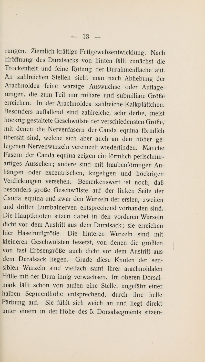 rungen. Ziemlich kräftige Fettgewebsentwieklung. Nach Eröffnung des Duralsacks von hinten fällt zunächst die Trockenheit und feine Rötung der Durainnenfläche auf. An zahlreichen Stellen sieht man nach Abhebung der Arachnoidea feine warzige Auswüchse oder Auflage¬ rungen, die zum Teil nur miliare und submiliare Größe erreichen. In der Arachnoidea zahlreiche Kalkplättchen. Besonders auffallend sind zahlreiche, sehr derbe, meist höckrig gestaltete Geschwülste der verschiedensten Größe, mit denen die Nervenfasern der Cauda equina förmlich übersät sind, welche sich aber auch an den höher ge¬ legenen Nervenwurzeln vereinzelt wiederfinden. Manche Fasern der Cauda equina zeigen ein förmlich perlschnur¬ artiges Aussehen; andere sind mit traubenförmigen An¬ hängen oder excentrischen, kugeligen und höckrigen Verdickungen versehen. Bemerkenswert ist noch, daß besonders große Geschwülste auf der linken Seite der Cauda equina und zwar den Wurzeln der ersten, zweiten und dritten Lumbalnerven entsprechend vorhanden sind. Die Hauptknoten sitzen dabei in den vorderen Wurzeln dicht vor dem Austritt aus dem Duralsack; sie erreichen hier Haselnußgröße. Die hinteren Wurzeln sind mit kleineren Geschwülsten besetzt, von denen die größten von fast Erbsengroße auch dicht vor dem Austritt aus dem Duralsack liegen. Grade diese Knoten der sen¬ siblen Wurzeln sind vielfach samt ihrer arachnoidalen Hülle mit der Dura innig verwachsen. Im oberen Dorsal¬ mark fällt schon von außen eine Stelle, ungefähr einer halben Segmenthöhe entsprechend, durch ihre helle Färbung auf. Sie fühlt sich weich an und liegt direkt unter einem in der Höhe des 5. Dorsalsegments sitzen-