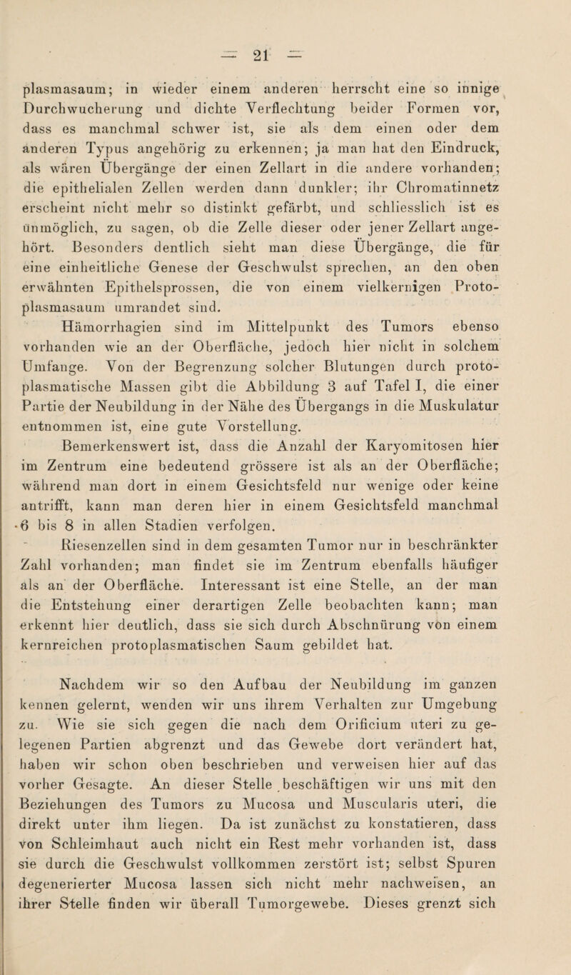 plasmasaum; in wieder einem anderen herrscht eine so innige Durch Wucherung und dichte Verflechtung beider Formen vor, dass es manchmal schwer ist, sie als dem einen oder dem anderen Typus angehörig zu erkennen; ja man hat den Eindruck, als wären Übergänge der einen Zellart in die andere vorhanden; die epithelialen Zellen werden dann dunkler; ihr Chromatinnetz erscheint nicht mehr so distinkt gefärbt, und schliesslich ist es unmöglich, zu sagen, ob die Zelle dieser oder jener Zellart ange¬ hört. Besonders dentlich sieht man diese Übergänge, die für eine einheitliche Genese der Geschwulst sprechen, an den oben erwähnten Epithelsprossen, die von einem vielkernigen Proto¬ plasmasaum umrandet sind. Hamorrhagien sind im Mittelpunkt des Tumors ebenso vorhanden wie an der Oberfläche, jedoch hier nicht in solchem Umfange. Von der Begrenzung solcher Blutungen durch proto¬ plasmatische Massen gibt die Abbildung 3 auf Tafel I, die einer Partie der Neubildung in der Nähe des Übergangs in die Muskulatur entnommen ist, eine gute Vorstellung. Bemerkenswert ist, dass die Anzahl der Karyomitosen hier im Zentrum eine bedeutend grössere ist als an der Oberfläche; während man dort in einem Gesichtsfeld nur wenige oder keine antrifft, kann man deren hier in einem Gesichtsfeld manchmal •6 bis 8 in allen Stadien verfolgen. Riesenzellen sind in dem gesamten Tumor nur in beschränkter Zahl vorhanden; man findet sie im Zentrum ebenfalls häufiger als an der Oberfläche. Interessant ist eine Stelle, an der man die Entstehung einer derartigen Zelle beobachten kann; man erkennt hier deutlich, dass sie sich durch Abschnürung von einem kernreichen protoplasmatischen Saum gebildet hat. Nachdem wir so den Aufbau der Neubildung im ganzen kennen gelernt, wenden wir uns ihrem Verhalten zur Umgebung zu. Wie sie sich gegen die nach dem Orificium uteri zu ge¬ legenen Partien abgrenzt und das Gewebe dort verändert hat, haben wir schon oben beschrieben und verweisen hier auf das vorher Gesagte. An dieser Stelle beschäftigen wir uns mit den Beziehungen des Tumors zu Mucosa und Muscularis uteri, die direkt unter ihm liegen. Da ist zunächst zu konstatieren, dass von Schleimhaut auch nicht ein Rest mehr vorhanden ist, dass sie durch die Geschwulst vollkommen zerstört ist; selbst Spuren degenerierter Mucosa lassen sich nicht mehr nachweisen, an ihrer Stelle finden wir überall Tumorgewebe. Dieses grenzt sich