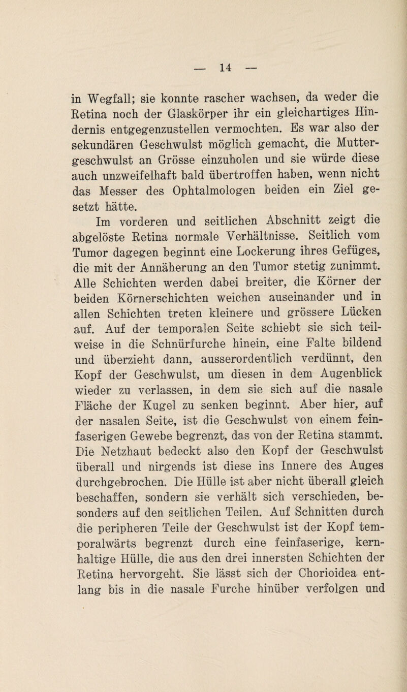 in Wegfall; sie konnte rascher wachsen, da weder die Retina noch der Glaskörper ihr ein gleichartiges Hin¬ dernis entgegenzustellen vermochten. Es war also der sekundären Geschwulst möglich gemacht, die Mutter¬ geschwulst an Grösse einzuholen und sie würde diese auch unzweifelhaft bald übertroffen haben, wenn nicht das Messer des Ophtalmologen beiden ein Ziel ge¬ setzt hätte. Im vorderen und seitlichen Abschnitt zeigt die abgelöste Retina normale Verhältnisse. Seitlich vom Tumor dagegen beginnt eine Lockerung ihres Gefüges, die mit der Annäherung an den Tumor stetig zunimmt. Alle Schichten werden dabei breiter, die Körner der beiden Körnerschichten weichen auseinander und in allen Schichten treten kleinere und grössere Lücken auf. Auf der temporalen Seite schiebt sie sich teil¬ weise in die Schnürfurche hinein, eine Falte bildend und überzieht dann, ausserordentlich verdünnt, den Kopf der Geschwulst, um diesen in dem Augenblick wieder zu verlassen, in dem sie sich auf die nasale Fläche der Kugel zu senken beginnt. Aber hier, auf der nasalen Seite, ist die Geschwulst von einem fein¬ faserigen Gewebe begrenzt, das von der Retina stammt. Die Netzhaut bedeckt also den Kopf der Geschwulst überall und nirgends ist diese ins Innere des Auges durchgebrochen. Die Hülle ist. aber nicht überall gleich beschaffen, sondern sie verhält sich verschieden, be¬ sonders auf den seitlichen Teilen. Auf Schnitten durch die peripheren Teile der Geschwulst ist der Kopf tem- poralwärts begrenzt durch eine feinfaserige, kern¬ haltige Hülle, die aus den drei innersten Schichten der Retina hervorgeht. Sie lässt sich der Chorioidea ent¬ lang bis in die nasale Furche hinüber verfolgen und