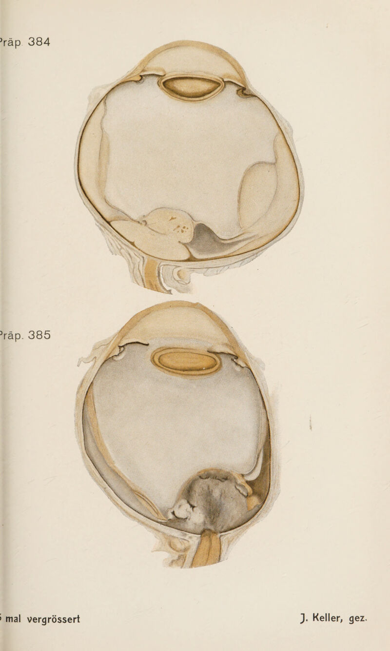 räp 384 räp. 385 mal vergrössert J. Keller, gez.