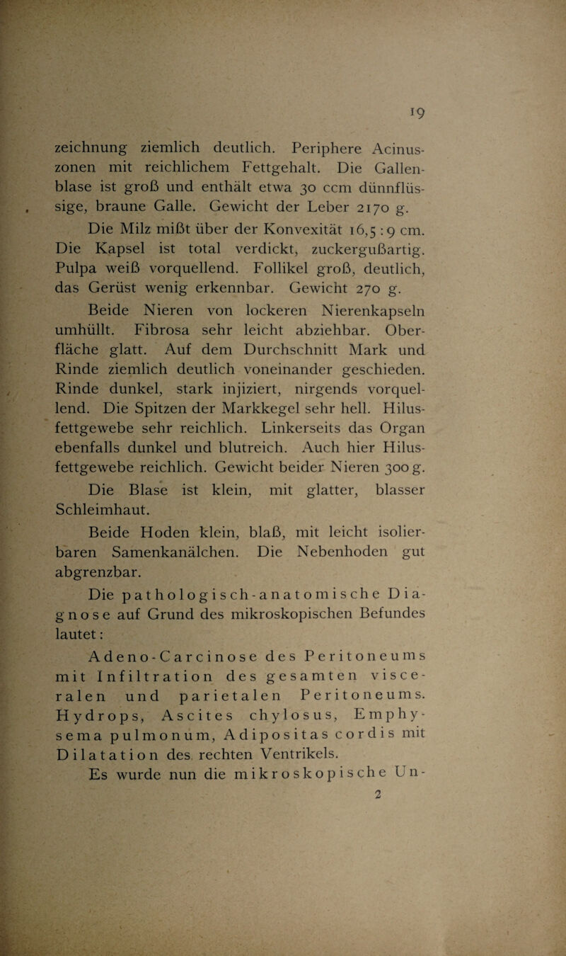 Zeichnung ziemlich deutlich. Periphere Acinus- zonen mit reichlichem Fettgehalt. Die Gallen¬ blase ist groß und enthält etwa 30 ccm dünnflüs¬ sige, braune Galle. Gewicht der Leber 2170 g. Die Milz mißt über der Konvexität 16,5 19 cm. Die Kapsel ist total verdickt, zuckergußartig. Pulpa weiß vorquellend. Follikel groß, deutlich, das Gerüst wenig erkennbar. Gewicht 270 g. Beide Nieren von lockeren Nierenkapseln umhüllt. Fibrosa sehr leicht abziehbar. Ober¬ fläche glatt. Auf dem Durchschnitt Mark und Rinde ziemlich deutlich voneinander geschieden. Rinde dunkel, stark injiziert, nirgends vorquel¬ lend. Die Spitzen der Markkegel sehr hell. Hilus- fettgewebe sehr reichlich. Linkerseits das Organ ebenfalls dunkel und blutreich. Auch hier Hilus- fettgewebe reichlich. Gewicht beider Nieren 300 g. Die Blase ist klein, mit glatter, blasser Schleimhaut. Beide Hoden klein, blaß, mit leicht isolier¬ baren Samenkanälchen. Die Nebenhoden gut abgrenzbar. Die pathologisch-anatomische Dia¬ gnose auf Grund des mikroskopischen Befundes lautet: Adeno-Carcinose des Peritoneums mit Infiltration des gesamten visce¬ ralen und parietalen Peritoneums. Hydrops, Ascites chylosus, Emphy- sema pulmonum, Adipositas cordis mit Dilatation des rechten Ventrikels. Es wurde nun die mikroskopische Un- 2