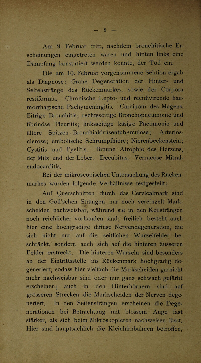 scheinungen eingetreten waren und hinten links eine Dämpfung konstatiert werden konnte, der Tod ein. Die am 10. Februar vorgenommene Sektion ergab als Diagnose: Graue Degeneration der Hinter- und Seitenstränge des Rückenmarkes, sowie der Corpora restiformia. Chronische Lepto- und recidivirende hae- morrhagische Pachymeningitis. Carcinom des Magens. Eitrige Bronchitis; rechtsseitige Bronchopneumonie und fibrinöse Pleuritis; linksseitige käsige Pneumonie und ältere Spitzen - Bronchialdrüsentuberculose; Arterios- clerose; embolische Schrumpfniere; Nierenbeckenstein; Cystitis und Pyelitis. Braune Atrophie des Herzens, der Milz und der Leber. Decubitus. Verrucöse Mitral- endocarditis. Bei der mikroscopischen Untersuchung des Rücken¬ markes wurden folgende Verhältnisse festgestellt: Auf Querschnitten durch das Cervicalmark sind in den Goll’schen Strängen nur noch vereinzelt Mark¬ scheiden nachweisbar, während sie in den Keilsträngen noch reichlicher vorhanden sind; freilich besteht auch hier eine hochgradige diffuse Nervendegeneration, die sich nicht nur auf die seitlichen Wurzelfelder be¬ schränkt, sondern auch sich auf die hinteren äusseren Felder erstreckt. Die hinteren Wurzeln sind besonders an der Eintrittsstelle ins Rückenmark hochgradig de¬ generiert, sodass hier vielfach die Markscheiden garnicht mehr nachweisbar sind oder nur ganz schwach gefärbt erscheinen; auch in den Hinterhörnern sind auf grösseren Strecken die Markscheiden der Nerven dege¬ neriert. In den Seitensträngen erscheinen die Dege¬ nerationen bei Betrachtung mit blossem Auge fast stärker, als sich beim Mikroskopieren nachweisen lässt. Hier sind hauptsächlich die Kleinhirnbahnen betroffen,