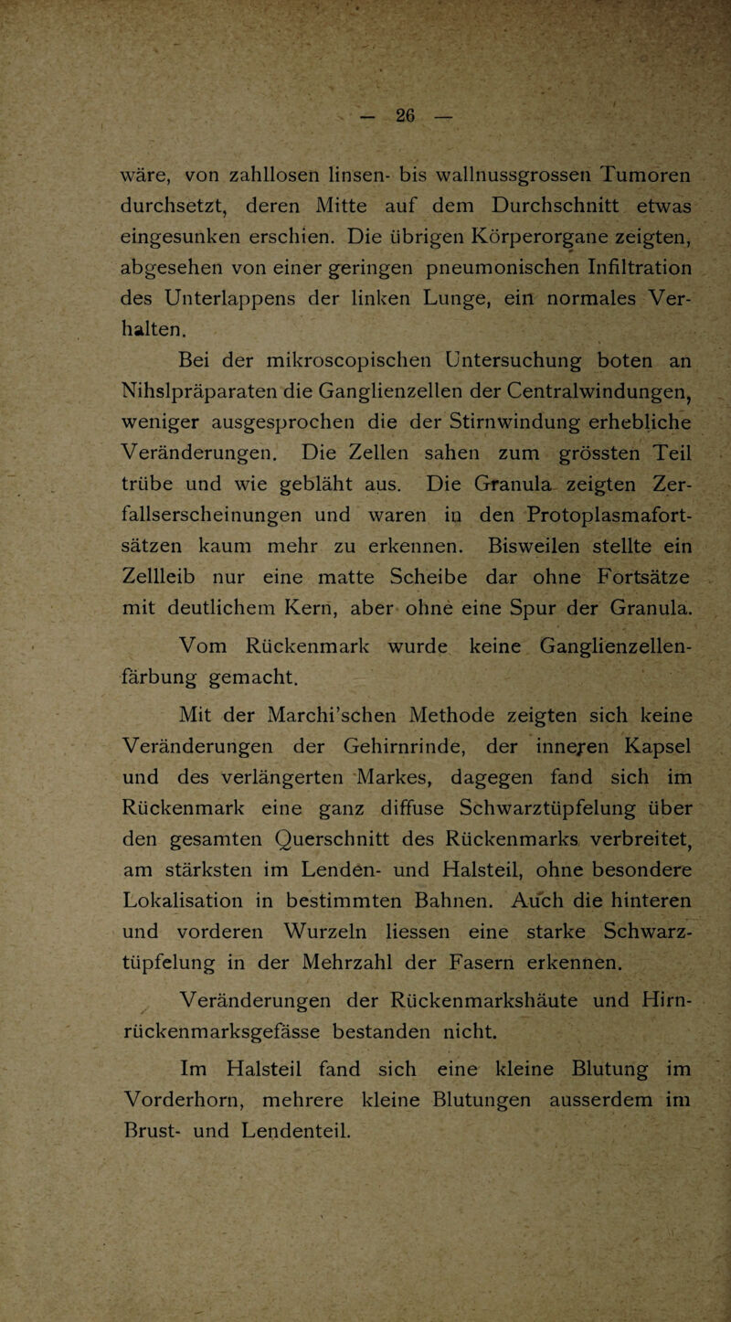 wäre, von zahllosen linsen- bis wallnussgrossen Tumoren durchsetzt, deren Mitte auf dem Durchschnitt etwas eingesunken erschien. Die übrigen Körperorgane zeigten, «* abgesehen von einer geringen pneumonischen Infiltration des Unterlappens der linken Lunge, ein normales Ver¬ halten. Bei der mikroscopischen Untersuchung boten an Nihslpräparaten die Ganglienzellen der Centralwindungen, weniger ausgesprochen die der Stirnwindung erhebliche Veränderungen. Die Zellen sahen zum grössten Teil trübe und wie gebläht aus. Die Granula zeigten Zer¬ fallserscheinungen und waren in den Protoplasmafort¬ sätzen kaum mehr zu erkennen. Bisweilen stellte ein Zellleib nur eine matte Scheibe dar ohne Fortsätze mit deutlichem Kern, aber ohne eine Spur der Granula. Vom Rückenmark wurde keine Ganglienzellen¬ färbung gemacht. Mit der Marchi’schen Methode zeigten sich keine Veränderungen der Gehirnrinde, der inneren Kapsel und des verlängerten Markes, dagegen fand sich im Rückenmark eine ganz diffuse Schwarztüpfelung über den gesamten Querschnitt des Rückenmarks verbreitet, am stärksten im Lenden- und Halsteil, ohne besondere Lokalisation in bestimmten Bahnen. Auch die hinteren und vorderen Wurzeln Hessen eine starke Schwarz¬ tüpfelung in der Mehrzahl der Fasern erkennen. Veränderungen der Rückenmarkshäute und Hirn- rückenmarksgefässe bestanden nicht. Im Halsteil fand sich eine kleine Blutung im Vorderhorn, mehrere kleine Blutungen ausserdem im Brust- und Lendenteil.