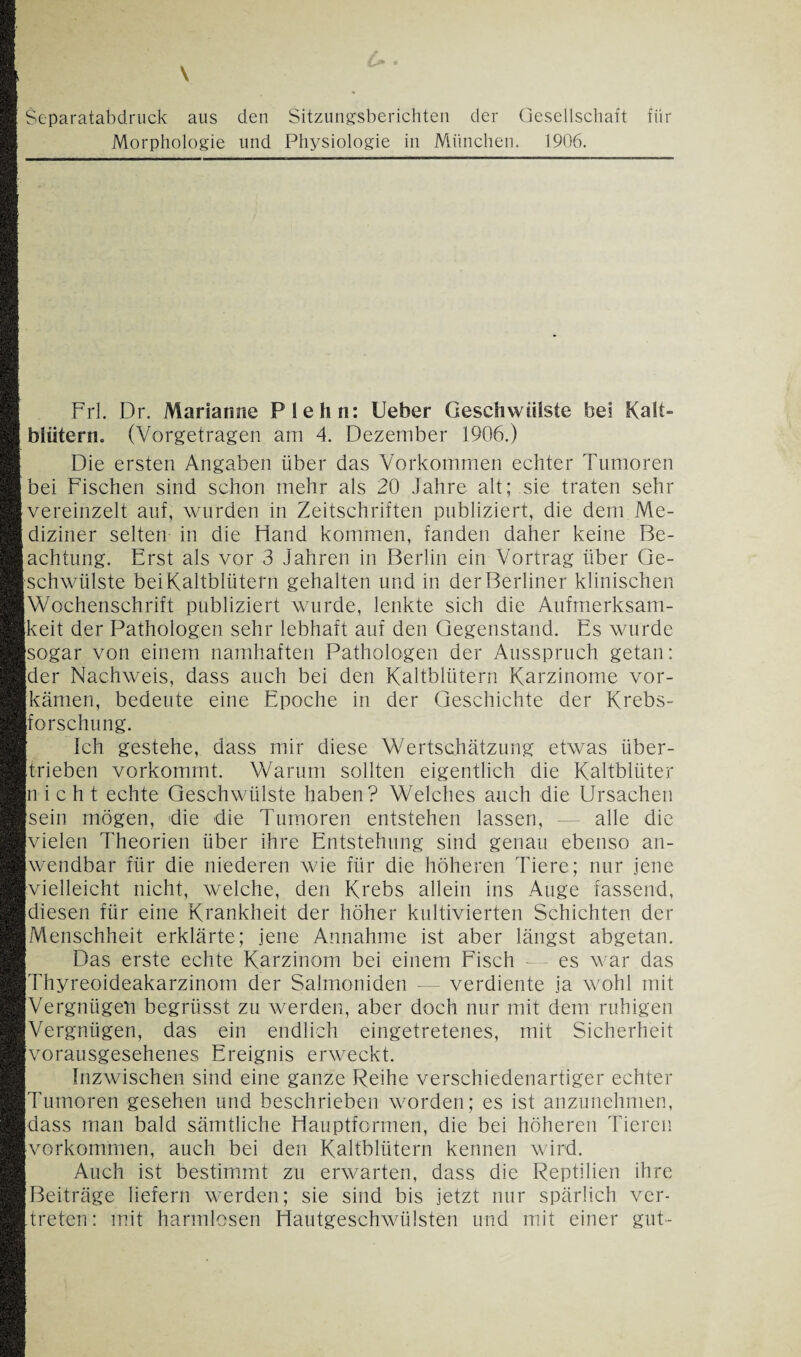 Separatabdruck aus den Sitzungsberichten der Gesellschatt für Morphologie und Physiologie in München. 1906. Frl. Dr. Marianne Plehn: lieber Geschwülste bei Kalt¬ blütern« (Vorgetragen am 4. Dezember 1906.) Die ersten Angaben über das Vorkommen echter Tumoren bei Fischen sind schon mehr als 20 Jahre alt; sie traten sehr vereinzelt auf, wurden in Zeitschriften publiziert, die dem Me- ; diziner selten in die Hand kommen, fanden daher keine Be¬ achtung. Erst als vor 3 Jahren in Berlin ein Vortrag über Ge¬ schwülste bei Kaltblütern gehalten und in der Berliner klinischen Wochenschrift publiziert wurde, lenkte sich die Aufmerksam- [keit der Pathologen sehr lebhaft auf den Gegenstand. Es wurde [sogar von einem namhaften Pathologen der Ausspruch getan: [der Nachweis, dass auch bei den Kaltblütern Karzinome vor- [kämen, bedeute eine Epoche in der Geschichte der Krebs¬ forschung. Ich gestehe, dass mir diese Wertschätzung etwas über¬ trieben vorkommt. Warum sollten eigentlich die Kaltblüter [nicht echte Geschwülste haben? Welches auch die Ursachen [sein mögen, 'die die Tumoren entstehen lassen, — alle die [vielen Theorien über ihre Entstehung sind genau ebenso an- [vvendbar für die niederen wie für die höheren Tiere; nur jene [vielleicht nicht, welche, den Krebs allein ins Auge fassend, [diesen für eine Krankheit der höher kultivierten Schichten der [Menschheit erklärte; jene Annahme ist aber längst abgetan. Das erste echte Karzinom bei einem Fisch -— es war das [Thyreoideakarzinom der Salmoniden -— verdiente ja wohl mit [Vergnügen begriisst zu werden, aber doch nur mit dem ruhigen [Vergnügen, das ein endlich eingetretenes, mit Sicherheit [vorausgesehenes Ereignis erweckt. Inzwischen sind eine ganze Reihe verschiedenartiger echter [Tumoren gesehen und beschrieben worden; es ist anzunehmen, [dass man bald sämtliche Hauptformen, die bei höheren Tieren [verkommen, auch bei den Kaltblütern kennen wird. [ Auch ist bestimmt zu erwarten, dass die Reptilien ihre [Beiträge liefern werden; sie sind bis jetzt nur spärlich ver- [treten: mit harmlosen Hautgeschwülsten und mit einer gut-