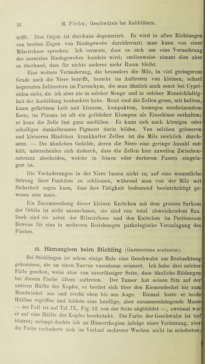 trifft. Dies Organ ist durchaus degeneriert. Es wird in allen Richtungen! von breiten Zügen von Bindegewebe durchkreuzt; man kann von einer Milzcirrhose sprechen. Ich vermute, dass es sich um eine Vermehrung des normalen Bindegewebes handeln wird; stellenweise nimmt dies aber, so überhand, dass für nichts anderes mehr Raum bleibt. Eine weitere Veränderung, die besonders die Milz, in viel geringerem! Grade auch die Niere betrifft, besteht im Auftreten von kleinen, scharf begrenzten Zellnestern im Parenchym, die man ähnlich auch sonst bei Cypri-: niden sieht, die ich aber nie in solcher Menge und in solcher Mannichfaltig- keit der Ausbildung beobachtet habe. Meist sind die Zellen gross, mit hellem, kaum gefärbtem Leib und kleinem, kompaktem, homogen erscheinendem Kern; im Plasma ist oft ein gelblicher Klumpen als Einschluss enthalten; er kann die Zelle fast ganz ausfüllen. Es kann sich auch körniges öden scholliges dunkelbraunes Pigment darin bilden. Von solchen grösseren! und kleineren Häufchen krankhafter Zellen ist die Milz reichlich durch¬ setzt. — Die ähnlichen Gebilde, deren die Niere eine geringe Anzahl ent¬ hält, unterscheiden sich dadurch, dass die Zellen hier zuweilen Zwischen-; Substanz abscheiden, welche in feinen oder derberen Fasern eingela¬ gert ist. Die Veränderungen in der Niere lassen nicht zu, auf eine wesentliche Störung ihrer Funktion zu scbliessen, während man von der Milz mit Sicherheit sagen kann, dass ihre Tätigkeit bedeutend beeinträchtigt ge¬ wesen sein muss. Ein Zusammenhang dieser kleinen Knötchen mit dem grossen Sarkom der Orbita ist nicht anzunehmen, sie sind von total abweichendem Bau. Doch sind sie nebst der Milzcirrhose und den Knötchen im Peritoneum Beweise für eine in mehreren Beziehungen pathologische Veranlagung des I Fisches. 12. Hämangiom beim Stichling (Gasterosteus aculeatus). Bei Stichlingen ist schon einige Male eine Geschwulst zur Beobachtung |; gekommen, die an einen Naevus vasculosus erinnert. Ich habe drei solcher fälle gesehen, weiss aber von zuverlässiger Seite, dass ähnliche Bildungen! bei diesem Fische öfters auftreten. Der Tumor hat seinen Sitz auf der unteren Hälfte des Kopfes, er breitet sich über den Kiemendeckel bis zum Mundwinkel aus und reicht oben bis ans Auge. Einmal hatte er beide Hälften ergriffen und bildete eine knollige, aber zusammenhängende Masse der Fall ist auf Taf. IX, Fig. 12 .von der Seite abgebildet —, zweimal war , er aul eine Hälfte des Kopfes beschränkt. Die Farbe der Geschwulst ist tief blutrot; anfangs dachte ich an Hämorrhagien infolge einer Verletzung, aber die Farbe veränderte sich im Verlauf mehrerer Wochen nicht im mindesten;