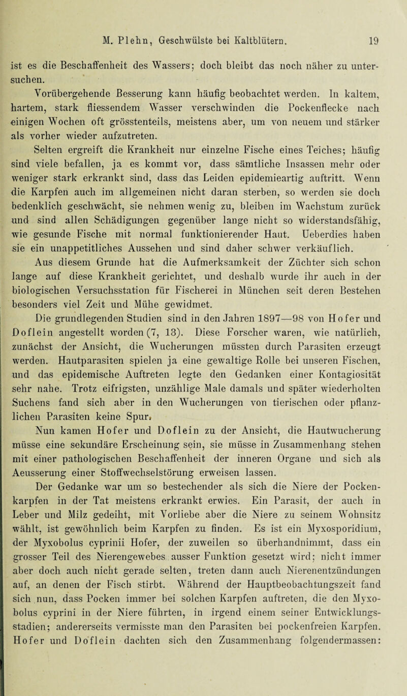 ist es die Beschaffenheit des Wassers; doch bleibt das noch näher zu unter¬ suchen. Vorübergehende Besserung kann häufig beobachtet werden, ln kaltem, hartem, stark fliessendem Wasser verschwinden die Pockenflecke nach einigen Wochen oft grösstenteils, meistens aber, um von neuem und stärker als vorher wieder aufzutreten. Selten ergreift die Krankheit nur einzelne Fische eines Teiches; häufig sind viele befallen, ja es kommt vor, dass sämtliche Insassen mehr oder weniger stark erkrankt sind, dass das Leiden epidemieartig auftritt. Wenn die Karpfen auch im allgemeinen nicht daran sterben, so werden sie doch bedenklich geschwächt, sie nehmen wenig zu, bleiben im Wachstum zurück und sind allen Schädigungen gegenüber lange nicht so widerstandsfähig, wie gesunde Fische mit normal funktionierender Haut. Ueberdies haben sie ein unappetitliches Aussehen und sind daher schwer verkäuflich. Aus diesem Grunde hat die Aufmerksamkeit der Züchter sich schon lauge auf diese Krankheit gerichtet, und deshalb wurde ihr auch in der biologischen Versuchsstation für Fischerei in München seit deren Bestehen besonders viel Zeit und Mühe gewidmet. Die grundlegenden Studien sind in den Jahren 1897—98 von Hofer und Doflein angestellt worden (7, 13). Diese Forscher waren, wie natürlich, zunächst der Ansicht, die Wucherungen müssten durch Parasiten erzeugt werden. Hautparasiten spielen ja eine gewaltige Rolle bei unseren Fischen, und das epidemische Auftreten legte den Gedanken einer Kontagiosität sehr nahe. Trotz eifrigsten, unzählige Maie damals und später wiederholten Suchens fand sich aber in den Wucherungen von tierischen oder pflanz¬ lichen Parasiten keine Spur* Nun kamen Hofer und Doflein zu der Ansicht, die Hautwucherung müsse eine sekundäre Erscheinung sein, sie müsse in Zusammenhang stehen mit einer pathologischen Beschaffenheit der inneren Organe und sich als Aeusserung einer Stoffwechselstörung erweisen lassen. Der Gedanke war um so bestechender als sich die Niere der Pocken¬ karpfen in der Tat meistens erkrankt erwies. Ein Parasit, der auch in Leber und Milz gedeiht, mit Vorliebe aber die Niere zu seinem Wohnsitz wählt, ist gewöhnlich beim Karpfen zu finden. Es ist ein Myxosporidium, der Myxobolus cyprinii Hofer, der zuweilen so überhanduimmt, dass ein grosser Teil des Nierengewebes ausser Funktion gesetzt wird; nicht immer aber doch auch nicht gerade selten, treten dann auch Nierenentzündungen auf, an denen der Fisch stirbt. Während der Hauptbeobachtungszeit fand sich nun, dass Pocken immer bei solchen Karpfen auftreten, die den Myxo¬ bolus cyprini in der Niere führten, in irgend einem seiner Entwicklungs¬ stadien; andererseits vermisste man den Parasiten bei pockenfreien Karpfen. Hofer und Doflein dachten sich den Zusammenhang folgendermassen: