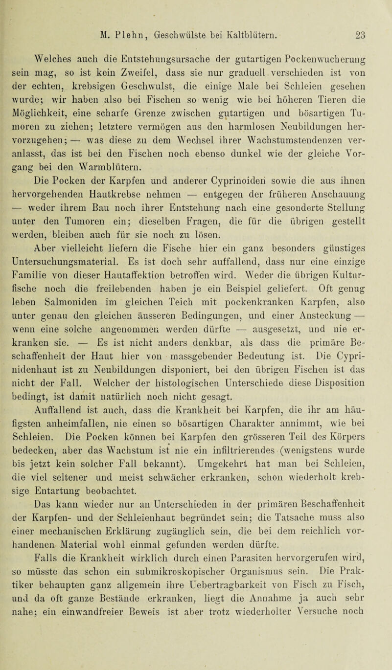Welches auch die Entstehungsursache der gutartigen Pocken Wucherung sein mag, so ist kein Zweifel, dass sie nur graduell verschieden ist von der echten, krebsigen Geschwulst, die einige Male bei Schleien gesehen wurde; wir haben also bei Fischen so wenig wie bei höheren Tieren die Möglichkeit, eine scharfe Grenze zwischen gutartigen und bösartigen Tu¬ moren zu ziehen; letztere vermögen aus den harmlosen Neubildungen her¬ vorzugehen;— was diese zu dem Wechsel ihrer Wachstumstendenzen ver¬ anlasst, das ist bei den Fischen noch ebenso dunkel wie der gleiche Vor¬ gang bei den Warmblütern. Die Pocken der Karpfen und anderer Cyprinoiden sowie die aus ihnen hervorgehenden Hautkrebse nehmen — entgegen der früheren Anschauung — weder ihrem Bau noch ihrer Entstehung nach eine gesonderte Stellung unter den Tumoren ein; dieselben Fragen, die für die übrigen gestellt werden, bleiben auch für sie noch zu lösen. Aber vielleicht liefern die Fische hier ein ganz besonders günstiges Untersuchungsmaterial. Es ist doch sehr auffallend, dass nur eine einzige Familie von dieser Hautaffektion betroffen wird. Weder die übrigen Kultur¬ fische noch die freilebenden haben je ein Beispiel geliefert. Oft genug leben Salmoniden im gleichen Teich mit pockenkranken Karpfen, also unter genau den gleichen äusseren Bedingungen, und einer Ansteckung — wenn eine solche angenommen werden dürfte — ausgesetzt, und nie er¬ kranken sie. — Es ist nicht anders denkbar, als dass die primäre Be¬ schaffenheit der Haut hier von massgebender Bedeutung ist. Die Cypri- nidenhaut ist zu Neubildungen disponiert, bei den übrigen Fischen ist das nicht der Fall. Welcher der histologischen Unterschiede diese Disposition bedingt, ist damit natürlich noch nicht gesagt. Auffallend ist auch, dass die Krankheit bei Karpfen, die ihr am häu¬ figsten anheimfallen, nie einen so bösartigen Charakter annimmt, wie bei Schleien. Die Pocken können bei Karpfen den grösseren Teil des Körpers bedecken, aber das Wachstum ist nie ein infiltrierendes (wenigstens wurde bis jetzt kein solcher Fall bekannt). Umgekehrt hat man bei Schleien, die viel seltener und meist schwächer erkranken, schon wiederholt kreb- sige Entartung beobachtet. Das kann wieder nur an Unterschieden in der primären Beschaffenheit der Karpfen- und der Schleienhaut begründet sein; die Tatsache muss also einer mechanischen Erklärung zugänglich sein, die bei dem reichlich vor¬ handenen Material wohl einmal gefunden werden dürfte. Falls die Krankheit wirklich durch einen Parasiten hervorgerufen wird, so müsste das schon ein submikroskopischer Organismus sein. Die Prak¬ tiker behaupten ganz allgemein ihre Uebertragbarkeit von Fisch zu Fisch, und da oft ganze Bestände erkranken, liegt die Annahme ja auch sehr nahe; ein einwandfreier Beweis ist aber trotz wiederholter Versuche noch