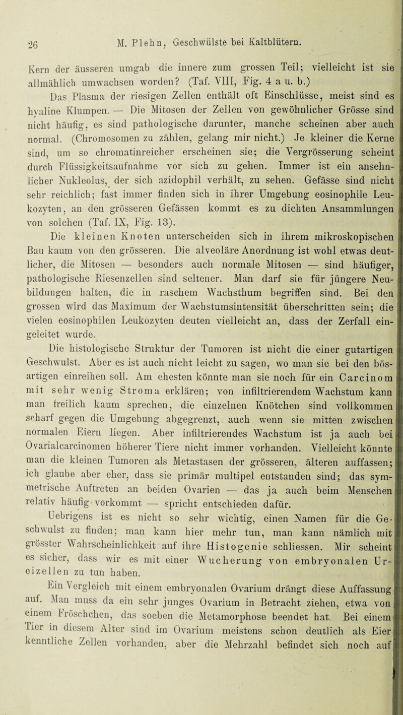 Kern der äusseren umgab die innere zum grossen Teil; vielleicht ist sie allmählich umwachsen worden? (Taf. VIII, Fig. 4 a u. b.) Das Plasma der riesigen Zellen enthält oft Einschlüsse, meist sind es hyaline Klumpen. — Die Mitosen der Zellen von gewöhnlicher Grösse sind nicht häufig, es sind pathologische darunter, manche scheinen aber auch normal. (Chromosomen zu zählen, gelang mir nicht.) Je kleiner die Kerne sind, um so chromatinreicher erscheinen sie; die Yergrösserung scheint durch Flüssigkeitsaufnahme vor sich zu gehen. Immer ist ein ansehn¬ licher Nukleolus, der sich azidophil verhält, zu seheu. Gefässe sind nicht sehr reichlich; fast immer finden sich in ihrer Umgebung eosinophile Leu¬ kozyten, an den grösseren Gefässen kommt es zu dichten Ansammlungen von solchen (Taf. IX, Fig. 13). Die kleinen Knoten unterscheiden sich in ihrem mikroskopischen Bau kaum von den grösseren. Die alveoläre Anordnung ist wohl etwas deut¬ licher, die Mitosen besonders auch normale Mitosen — sind häufiger, pathologische Riesenzellen sind seltener. Man darf sie für jüngere Neu¬ bildungen halten, die in raschem Wachsthum begriffen sind. Bei den grossen wird das Maximum der Wachstumsintensität überschritten sein; die vielen eosinophilen Leukozyten deuten vielleicht an, dass der Zerfall ein¬ geleitet wurde. Die histologische Struktur der Tumoren ist nicht die einer gutartigen Geschwulst. Aber es ist auch nicht leicht zu sagen, wo man sie bei den bös¬ artigen einreihen soll. Am ehesten könnte man sie noch für ein Carcinom mit sehr wenig Stroma erklären; von infiltrierendem Wachstum kann man freilich kaum sprechen, die einzelnen Knötchen sind vollkommen scharf gegen die Umgebung abgegrenzt, auch wenn sie mitten zwischen normalen Eiern liegen. Aber infiltrierendes Wachstum ist ja auch bei Ovarialcarcinomen höherer Tiere nicht immer vorhanden. Vielleicht könnte man die kleinen Tumoren als Metastasen der grösseren, älteren auffassen; ich glaube aber eher, dass sie primär multipel entstanden sind; das sym¬ metrische Auftreten an beiden Ovarien — das ja auch beim Menschen relativ häufig vorkommt — spricht entschieden dafür. Uebrigens ist es nicht so sehr wichtig, einen Namen für die Ge¬ schwulst zu finden: man kann hier mehr tun, man kann nämlich mit grösster Wahrscheinlichkeit auf ihre Histogenie schliessen. Mir scheint es sicher, dass wir es mit einer Wucherung von embryonalen Ur eizeilen zu tun haben. Ein Vergleich mit einem embryonalen Ovarium drängt diese Auffassung auf. Man muss da ein sehr junges Ovarium in Betracht ziehen, etwa von einem Fröschchen, das soeben die Metamorphose beendet hat. Bei einem liei in diesem Alter sind im Ovarium meistens schon deutlich als Eier kenntliche Zellen vorhanden, aber die Mehrzahl befindet sich noch auf