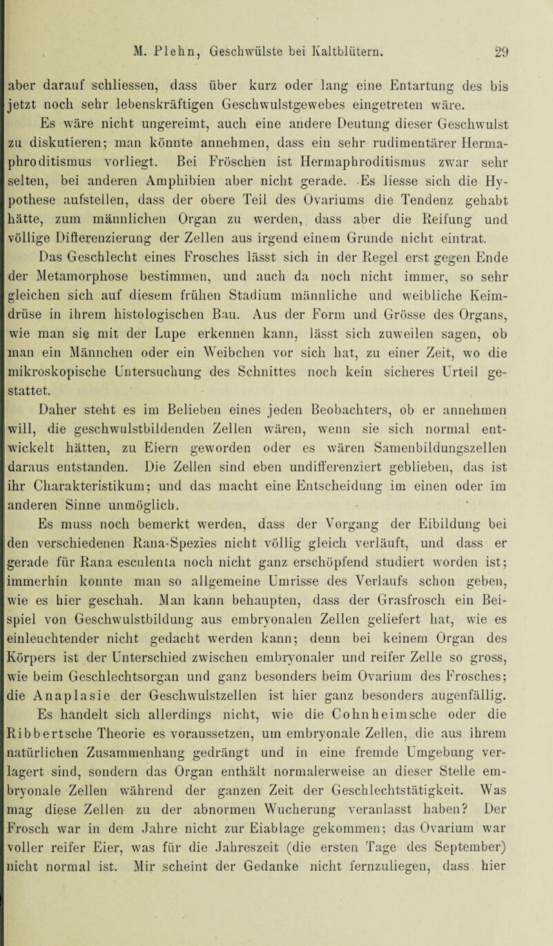 aber darauf schliessen, dass über kurz oder lang eine Entartung des bis jetzt noch sehr lebenskräftigen Geschwulstgewebes eingetreten wäre. Es wäre nicht ungereimt, auch eine andere Deutung dieser Geschwulst zu diskutieren; man könnte annehmen, dass ein sehr rudimentärer Herma¬ phroditismus vorliegt. Bei Fröschen ist Hermaphroditismus zwar sehr selten, bei anderen Amphibien aber nicht gerade. Es liesse sich die Hy¬ pothese aufstellen, dass der obere Teil des Ovariums die Tendenz gehabt hätte, zum männlichen Organ zu werden, dass aber die Reifung und völlige Difterenzierung der Zellen aus irgend einem Grunde nicht eintrat. Das Geschlecht eines Frosches lässt sich in der Regel erst gegen Ende der Metamorphose bestimmen, und auch da noch nicht immer, so sehr gleichen sich auf diesem frühen Stadium männliche und weibliche Keim¬ drüse in ihrem histologischen Bau. Aus der Form und Grösse des Organs, wie man sie mit der Lupe erkennen kann, lässt sich zuweilen sagen, ob man ein Männchen oder ein Weibchen vor sich hat, zu einer Zeit, wo die mikroskopische Untersuchung des Schnittes noch kein sicheres Urteil ge¬ stattet. Daher steht es im Belieben eines jeden Beobachters, ob er annehmen will, die geschwulstbildenden Zellen wären, wenn sie sich normal ent¬ wickelt hätten, zu Eiern geworden oder es wären Samenbildungszellen daraus entstanden. Die Zellen sind eben undifferenziert geblieben, das ist ihr Charakteristikum; und das macht eine Entscheidung im einen oder im anderen Sinne unmöglich. Es muss noch bemerkt werden, dass der Vorgang der Eibildung bei den verschiedenen Rana-Spezies nicht völlig gleich verläuft, und dass er gerade für Rana esculenta noch nicht ganz erschöpfend studiert worden ist; immerhin konnte man so allgemeine Umrisse des Verlaufs schon geben, wie es hier geschah. Man kann behaupten, dass der Grasfrosch ein Bei¬ spiel von Geschwulstbildung aus embryonalen Zellen geliefert hat, wie es einleuchtender nicht gedacht werden kann; denn bei keinem Organ des Körpers ist der Unterschied zwischen embryonaler und reifer Zelle so gross, wie beim Geschlechtsorgan und ganz besonders beim Ovarium des Frosches; die Anaplasie der Geschwulstzellen ist hier ganz besonders augenfällig. Es handelt sich allerdings nicht, wie die Cohnheimsche oder die Ribbertsche Theorie es voraussetzen, um embryonale Zellen, die aus ihrem natürlichen Zusammenhang gedrängt und in eine fremde Umgebung ver¬ lagert sind, sondern das Organ enthält normalerweise an dieser Stelle em¬ bryonale Zellen während der ganzen Zeit der Geschlechtstätigkeit. Was mag diese Zellen zu der abnormen Wucherung veranlasst haben? Der Frosch war in dem Jahre nicht zur Eiablage gekommen; das Ovarium war voller reifer Eier, was für die Jahreszeit (die ersten Tage des September) nicht normal ist. Mir scheint der Gedanke nicht fernzuliegen, dass hier
