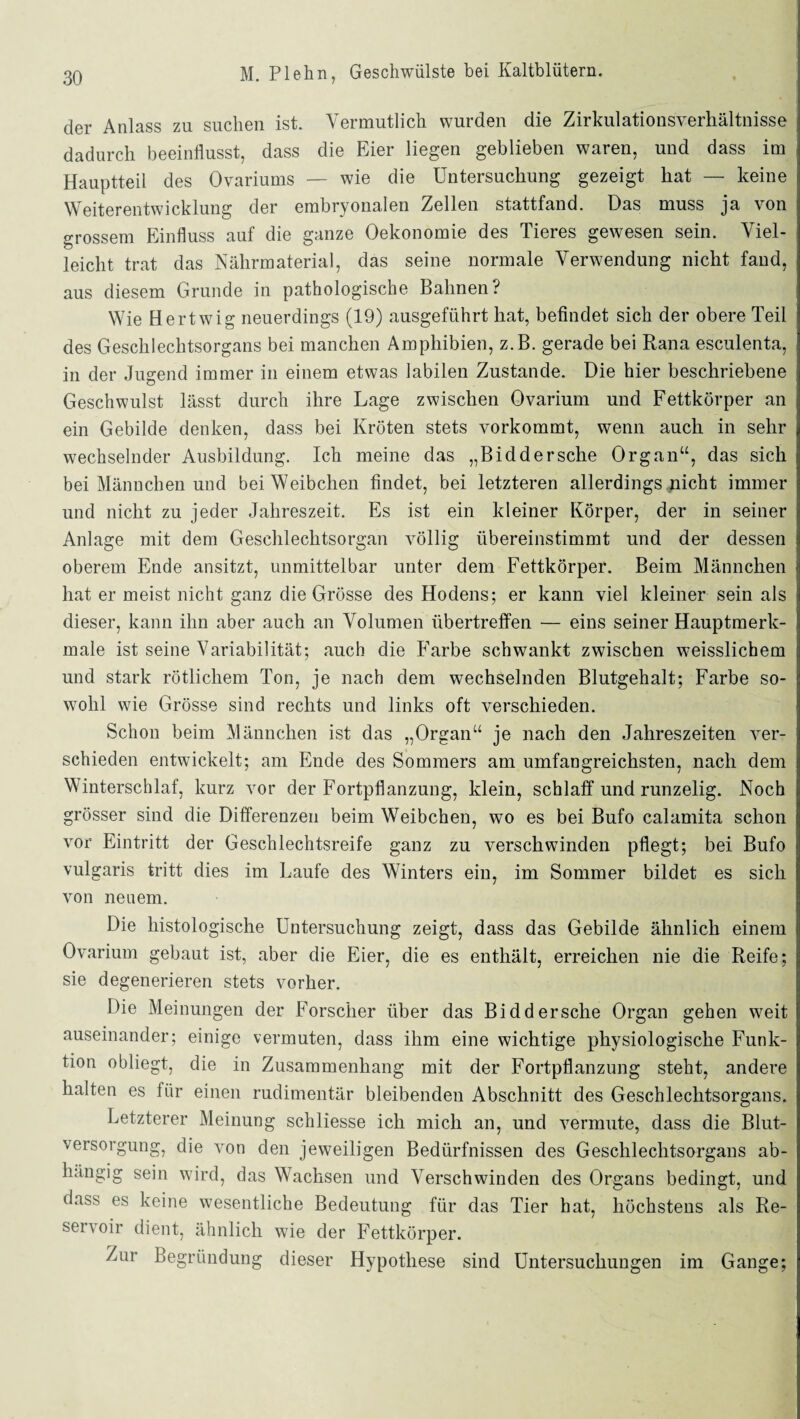 der Anlass zu suchen ist. Vermutlich wurden die Zirkulationsverhältnisse dadurch beeinflusst, dass die Eier liegen geblieben waren, und dass im Hauptteil des Ovariums — wie die Untersuchung gezeigt hat — keine Weiterentwicklung der embryonalen Zellen stattfand. Das muss ja von grossem Einfluss auf die ganze Oekonomie des Tieres gewesen sein. Viel¬ leicht trat das Nährmaterial, das seine normale Verwendung nicht fand, aus diesem Grunde in pathologische Bahnen ? Wie Hert wig neuerdings (19) ausgeführt hat, befindet sich der obere Teil des Geschlechtsorgans bei manchen Amphibien, z.B. gerade bei Rana esculenta, in der Jugend immer in einem etwas labilen Zustande. Die hier beschriebene Geschwulst lässt durch ihre Lage zwischen Ovarium und Fettkörper an ein Gebilde denken, dass bei Kröten stets vorkommt, wenn auch in sehr wechselnder Ausbildung. Ich meine das „Biddersche Organ“, das sich bei Männchen und bei Weibchen findet, bei letzteren allerdings nicht immer und nicht zu jeder Jahreszeit. Es ist ein kleiner Körper, der in seiner Anlage mit dem Geschlechtsorgan völlig übereinstimmt und der dessen oberem Ende ansitzt, unmittelbar unter dem Fettkörper. Beim Männchen hat er meist nicht ganz die Grösse des Hodens; er kann viel kleiner sein als dieser, kann ihn aber auch an Volumen übertreffen — eins seiner Hauptmerk¬ male ist seine Variabilität; auch die Farbe schwankt zwischen weisslichem und stark rötlichem Ton, je nach dem wechselnden Blutgehalt; Farbe so¬ wohl wie Grösse sind rechts und links oft verschieden. Schon beim Männchen ist das „Organ“ je nach den Jahreszeiten ver¬ schieden entwickelt; am Ende des Sommers am umfangreichsten, nach dem Winterschlaf, kurz vor der Fortpflanzung, klein, schlaff und runzelig. Noch grösser sind die Differenzen beim Weibchen, wo es bei Bufo calamita schon vor Eintritt der Geschlechtsreife ganz zu verschwinden pflegt; bei Bufo vulgaris tritt dies im Laufe des Winters ein, im Sommer bildet es sich von neuem. Die histologische Untersuchung zeigt, dass das Gebilde ähnlich einem Ovarium gebaut ist, aber die Eier, die es enthält, erreichen nie die Reife; sie degenerieren stets vorher. Die Meinungen der Forscher über das Biddersche Organ gehen weit auseinander; einige vermuten, dass ihm eine wichtige physiologische Funk¬ tion obliegt, die in Zusammenhang mit der Fortpflanzung steht, andere halten es für einen rudimentär bleibenden Abschnitt des Geschlechtsorgans. Letzterer Meinung schliesse ich mich an, und vermute, dass die Blut¬ versorgung, die von den jeweiligen Bedürfnissen des Geschlechtsorgans ab¬ hängig sein wird, das Wachsen und Verschwinden des Organs bedingt, und dass es keine wesentliche Bedeutung für das Tier hat, höchstens als Re¬ servoir dient, ähnlich wie der Fettkörper. Zur Begründung dieser Hypothese sind Untersuchungen im Gange;