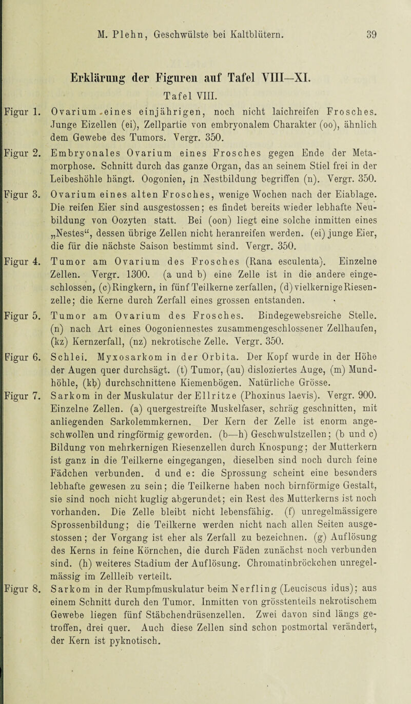 Erklärung der Figuren auf Tafel VIII—XI. Tafel VIII. Figur 1. Figur 2. Figur 3. Figur 4. Figur 5. Figur 6. Figur 7. Figur 8. Ovarium-eines einjährigen, noch nicht laichreifen Frosches. Junge Eizellen (ei), Zellpartie von embryonalem Charakter (oo), ähnlich dem Gewebe des Tumors. Vergr. 350. Embryonales Ovarium eines Frosches gegen Ende der Meta¬ morphose. Schnitt durch das ganze Organ, das an seinem Stiel frei in der Leibeshöhle hängt. Oogonien, in Nestbildung begriffen (n). Vergr. 350. Ovarium eines alten Frosches, wenige Wochen nach der Eiablage. Die reifen Eier sind ausgestossen; es findet bereits wieder lebhafte Neu¬ bildung von Oozyten statt. Bei (oon) liegt eine solche inmitten eines „Nestes“, dessen übrige Zellen nicht heranreifen werden, (ei) junge Eier, die für die nächste Saison bestimmt sind. Vergr. 350. Tumor am Ovarium des Frosches (Rana esculenta). Einzelne Zellen. Vergr. 1300. (a und b) eine Zelle ist in die andere einge¬ schlossen, (c)Ringkern, in fünf Teilkerne zerfallen, (d) vielkernige Riesen¬ zelle; die Kerne durch Zerfall eines grossen entstanden. Tumor am Ovarium des Frosches. Bindegewebsreiche Stelle, (n) nach Art eines Oogoniennestes zusammengeschlossener Zellhaufen, (kz) Kernzerfall, (nz) nekrotische Zelle. Vergr. 350. Schlei. Myxosarkom in der Orbita. Der Kopf wurde in der Höhe der Augen quer durchsägt, (t) Tumor, (au) disloziertes Auge, (m) Mund¬ höhle, (kb) durchschnittene Kiemenbögen. Natürliche Grösse. Sarkom in der Muskulatur derEllritze (Phoxinus laevis). Vergr. 900. Einzelne Zellen, (a) quergestreifte Muskelfaser, schräg geschnitten, mit anliegenden Sarkolemmkernen. Der Kern der Zelle ist enorm ange¬ schwollen und ringförmig geworden, (b—h) Geschwulstzellen; (b und c) Bildung von mehrkernigen Riesenzellen durch Knospung; der Mutterkern ist ganz in die Teilkerne eingegangen, dieselben sind noch durch feine Fädchen verbunden, d und e: die Sprossung scheint eine besonders lebhafte gewesen zu sein; die Teilkerne haben noch bimförmige Gestalt, sie sind noch nicht kuglig abgerundet; ein Rest des Mutterkerns ist noch vorhanden. Die Zelle bleibt nicht lebensfähig, (f) unregelmässigere Sprossenbildung; die Teilkerne werden nicht nach allen Seiten ausge¬ stossen ; der Vorgang ist eher als Zerfall zu bezeichnen, (g) Auflösung des Kerns in feine Körnchen, die durch Fäden zunächst noch verbunden sind, (h) weiteres Stadium der Auflösung. Chromatinbröckchen unregel¬ mässig im Zellleib verteilt. Sarkom in der Rumpfmuskulatur beim Nerfling (Leuciscus idus); aus einem Schnitt durch den Tumor. Inmitten von grösstenteils nekrotischem Gewebe liegen fünf Stäbchendrüsenzellen. Zwei davon sind längs ge¬ troffen, drei quer. Auch diese Zellen sind schon postmortal verändert, der Kern ist pyknotisch.