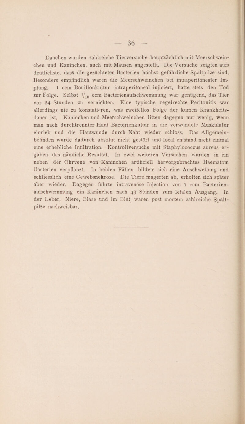 Daneben wurden zahlreiche Tierversuche hauptsächlich mit Meerschwein¬ chen und Kaninchen, auch mit Mäusen angestellt. Die Versuche zeigten aufs deutlichste, dass die gezüchteten Bacterien höchst gefährliche Spaltpilze sind. Besonders empfindlich waren die Meerschweinchen bei intraperitonealer Im¬ pfung. 1 ccm Bouillonkultur intraperitoneal injiciert, hatte stets den Tod zur Folge. Selbst yi0 ccm Bacterienaufschwemmung war genügend, das Tier vor 24 Stunden zu vernichten. Eine typische regelrechte Peritonitis war allerdings nie zu konstatieren, was zweifellos Folge der kurzen Krankheits¬ dauer ist. Kaninchen und Meerschweinchen litten dagegen nur wenig, wenn man nach durchtrennter Haut Bacterienkultur in die verwundete Muskulatur einrieb und die Hautwunde durch Naht wieder schloss. Das Allgemein¬ befinden wurde dadurch absolut nicht gestört und local entstand nicht einmal eine erhebliche Infiltration. Kontrollversuche mit Staphylococcus aureus er¬ gaben das nämliche Resultat. In zwei weiteren Versuchen wurden in ein neben der Ohrvene von Kaninchen artificiell hervorgebrachtes Haematom Bacterien verpflanzt. In beiden Fällen bildete sich eine Anschwellung und schliesslich eine Gewebsnekrose. Die Tiere magerten ab, erholten sich später aber wieder. Dagegen führte intravenöse Injection von l ccm Bacterien¬ aufschwemmung ein Kaninchen nach 43 Stunden zum letalen Ausgang. In der Leber, Niere, Blase und im Blut -waren post mortem zahlreiche Spalt¬ pilze nachweisbar.
