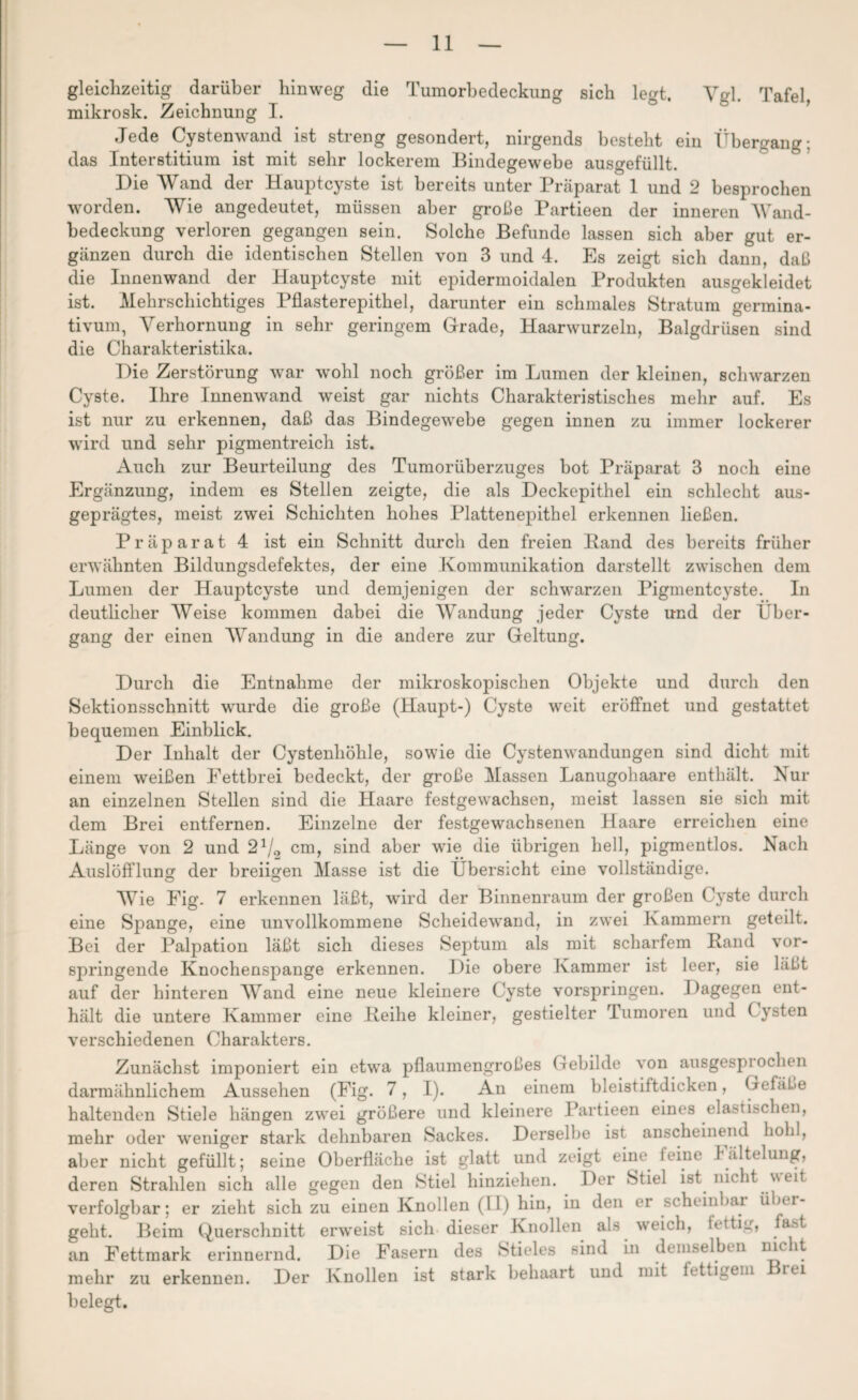 gleichzeitig darüber hinweg die Tumorbedeckung sich legt. Vgl. Tafel, mikrosk. Zeichnung I. Jede Cystenwand ist streng gesondert, nirgends besteht ein Übergang; das Interstitium ist mit sehr lockerem Bindegewebe ausgefüllt. Die Wand der Hauptcyste ist bereits unter Präparat 1 und 2 besprochen worden. Wie angedeutet, müssen aber große Partieen der inneren Wand¬ bedeckung verloren gegangen sein. Solche Befunde lassen sich aber gut er¬ gänzen durch die identischen Stellen von 3 und 4. Es zeigt sich dann, daß die Innenwand der Hauptcyste mit epidermoidalen Produkten ausgekleidet ist. Mehrschichtiges Pflasterepithel, darunter ein schmales Stratum germina- tivum, Verhornung in sehr geringem Grade, Haarwurzeln, Balgdrüsen sind die Charakteristika. Die Zerstörung war wohl noch größer im Lumen der kleinen, schwarzen Cyste. Ihre Innenwand weist gar nichts Charakteristisches mehr auf. Es ist nur zu erkennen, daß das Bindegewebe gegen innen zu immer lockerer wird und sehr pigmentreich ist. Auch zur Beurteilung des Tumorüberzuges bot Präparat 3 noch eine Ergänzung, indem es Stellen zeigte, die als Deckepithel ein schlecht aus¬ geprägtes, meist zwei Schichten hohes Plattenepithel erkennen ließen. Präparat 4 ist ein Schnitt durch den freien Band des bereits früher erwähnten Bildungsdefektes, der eine .Kommunikation darstellt zwischen dem Lumen der Hauptcyste und demjenigen der schwarzen Pigmentcyste. In deutlicher Weise kommen dabei die Wandung jeder Cyste und der Über¬ gang der einen Wandung in die andere zur Geltung. Durch die Entnahme der mikroskopischen Objekte und durch den Sektionsschnitt wurde die große (Haupt-) Cyste weit eröffnet und gestattet bequemen Einblick. Der Inhalt der Cystenhöhle, sowie die Cystenwandungen sind dicht mit einem weißen Fettbrei bedeckt, der große Massen Lanugohaare enthält. Nur an einzelnen Stellen sind die Haare festgewachsen, meist lassen sie sich mit dem Brei entfernen. Einzelne der festgewachsenen Haare erreichen eine Länge von 2 und 2J/2 cm, sind aber wie die übrigen hell, pigmentlos. Nach Auslöfflung der breiigen Masse ist die Übersicht eine vollständige. Wie Fig. 7 erkennen läßt, wird der Binnenraum der großen Cyste durch eine Spange, eine unvollkommene Scheidewand, in zwei Kammern geteilt. Bei der Palpation läßt sich dieses Septum als mit scharfem Rand vor¬ springende Knochenspange erkennen. Die obere Kammer ist leer, sie läßt auf der hinteren Wand eine neue kleinere Cyste vorspringen. Dagegen ent¬ hält die untere Kammer eine Reihe kleiner, gestielter Tumoren und ( ysten verschiedenen Charakters. Zunächst imponiert ein etwa pflaumengroßes Gebilde von ausgesprochen darmähnlichem Aussehen (Fig. 7, I). An einem bleistiftdicken, Gefäße haltenden Stiele hängen zwei größere und kleinere Partieen eines elastischen, mehr oder weniger stark dehnbaren Sackes. Derselbe ist anscheinend hohl, aber nicht gefüllt; seine Oberfläche ist glatt und zeigt eine leine f ältelung, deren Strahlen sich alle gegen den Stiel hinziehen. Der Stiel ist nicht weit verfolgbar; er zieht sich zu einen Knollen (11) hin, in den er scheinbar über¬ geht. Beim Querschnitt erweist sich dieser Knollen als weich, fettig, fest an Fettmark erinnernd. Die Fasern des Stieles sind in demselben nicht mehr zu erkennen. Der Knollen ist stark behaart und mit fettigem ler belegt.