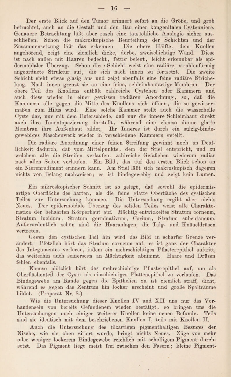Der erste Blick auf den Tumor erinnert sofort an die Größe, und grob betrachtet, auch an die Gestalt und den Bau einer kongenitalen Cystenniere. Genauere Betrachtung läßt aber rasch eine tatsächliche Analogie sicher aus¬ schließen. Schon die makroskopische Beurteilung der Schichten und der Zusammensetzung läßt das erkennen. Die obere Hälfte, dem Knollen angehörend, zeigt eine ziemlich dicke, derbe, zweischichtige Wand. Diese ist nach außen mit Haaren bedeckt, fettig belegt, leicht erkennbar als epi- dermoidaler Überzug. Schon diese Schicht weist eine radiäre, strahlenförmig angeordnete Struktur auf, die sich nach innen zu fortsetzt. Die zweite Schicht sieht etwas glasig aus und zeigt ebenfalls eine feine radiäre Striche¬ lung. Nach innen grenzt sie an eine feine, schleimhautartige Membran. Der obere Teil des Knollens enthält zahlreiche Cystchen oder Kammern und auch diese wieder in einer gewissen radiären Anordnung, so, daß die Kammern alle gegen die Mitte des Knollens sich öffnen, die so gewisser¬ maßen zum Hilus wird. Eine solche Kammer stellt auch die wasserhelle Cyste dar, nur mit dem Unterschiede, daß nur die innere Schleimhaut direkt auch ihre Innentapezierung darstellt, während eine ebenso dünne glatte Membran ihre Außenhaut bildet. Ihr Inneres ist durch ein sulzig-binde- gewebiges Maschenwerk wieder in verschiedene Kammern geteilt. Die radiäre Anordnung einer feinen Streifung gewinnt noch an Deut¬ lichkeit dadurch, daß vom Mittelpunkte, dem der Stiel entspricht, und zu welchem alle die Streifen verlaufen, zahlreiche Gefäßchen wiederum radiär nach allen Seiten verlaufen. Ein Bild, das auf den ersten Blick schon an ein Nierenrudiment erinnern kann. Am Stiel läßt sich makroskopisch dagegen nichts von Belang nachweisen; es ist bindegewebig und zeigt kein Lumen. Ein mikroskopischer Schnitt ist so gelegt, daß sowohl die epidermis- artige Oberfläche des harten, als die feine glatte Oberfläche des cystischen Teiles zur Untersuchung kommen. Die Untersuchung ergibt aber nichts Neues. Der epidermoidale Überzug des soliden Teiles weist alle Charakte- ristica der behaarten Körperhaut auf. Mächtig entwickeltes Stratum corneum, Stratum lucidum, Stratum germinativum, Corium, Stratum subcutaneum. Außerordentlich schön sind die Haaranlagen, die Talg- und Knäueldrüsen vertreten. Gegen den cystischen Teil hin wird das Bild in scharfer Grenze ver¬ ändert. Plötzlich hört das Stratum corneum auf, es ist ganz der Charakter des Integumentes verloren, indem ein mehrschichtiges Pflasterepithel auftritt, das weiterhin auch seinerseits an Mächtigkeit abnimmt. Haare und Drüsen fehlen ebenfalls. Ebenso plötzlich hört das mehrschichtige Pflasterepithel auf, um als Oberflächenteil der Cyste als einschichtiges Plattenepithel zu verlaufen. Das Bindegewebe am Bande gegen die Epithelien zu ist ziemlich straff, dicht, während es gegen das Zentrum hin locker erscheint und große Spalträume bildet. (Präparat Nr. 8.) Wie die Untersuchung dieser Knollen IV und XII uns nur das Vor¬ handensein von bereits Gefundenem wieder bestätigt, so bringen uns die Untersuchungen noch einiger weiterer Knollen keine neuen Befunde. Teils sind sie identisch mit dem beschriebenen Knollen I, teils mit Knollen II. Auch die Untersuchung des filzartigen pigmenthaltigen Bezuges der Nische, wie sie oben zitiert wurde, bringt nichts Neues. Züge von mehr oder weniger lockerem Bindegewebe reichlich mit scholligem Pigment durch¬ setzt. Das Pigment liegt meist frei zwischen den Fasern; kleine Pigment-